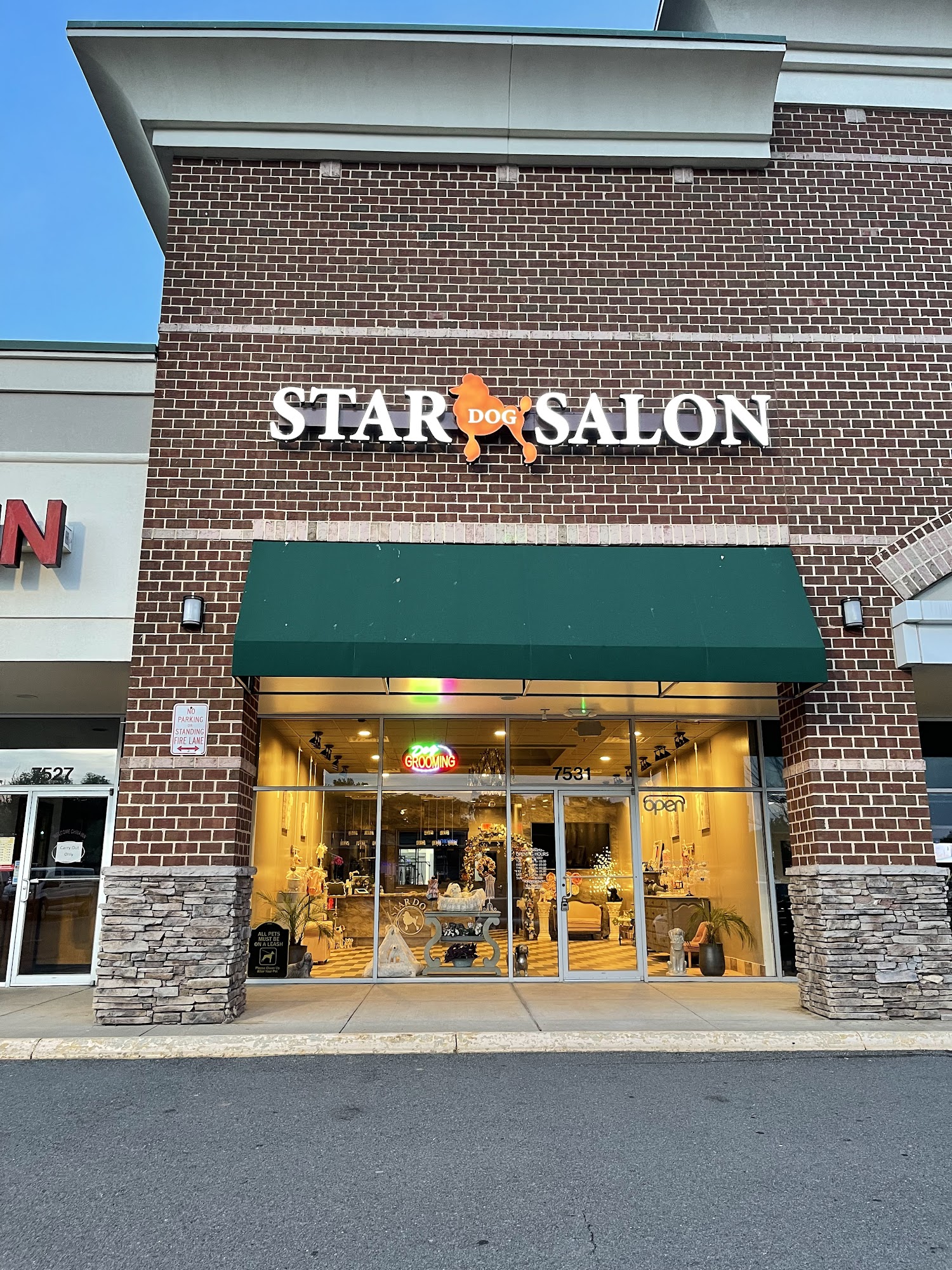 Star Dog Salon Gainesville