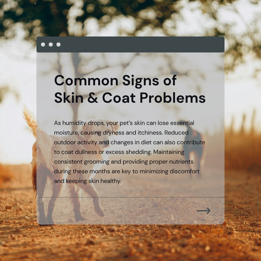 Glenkirk Animal Hospital Gainesville