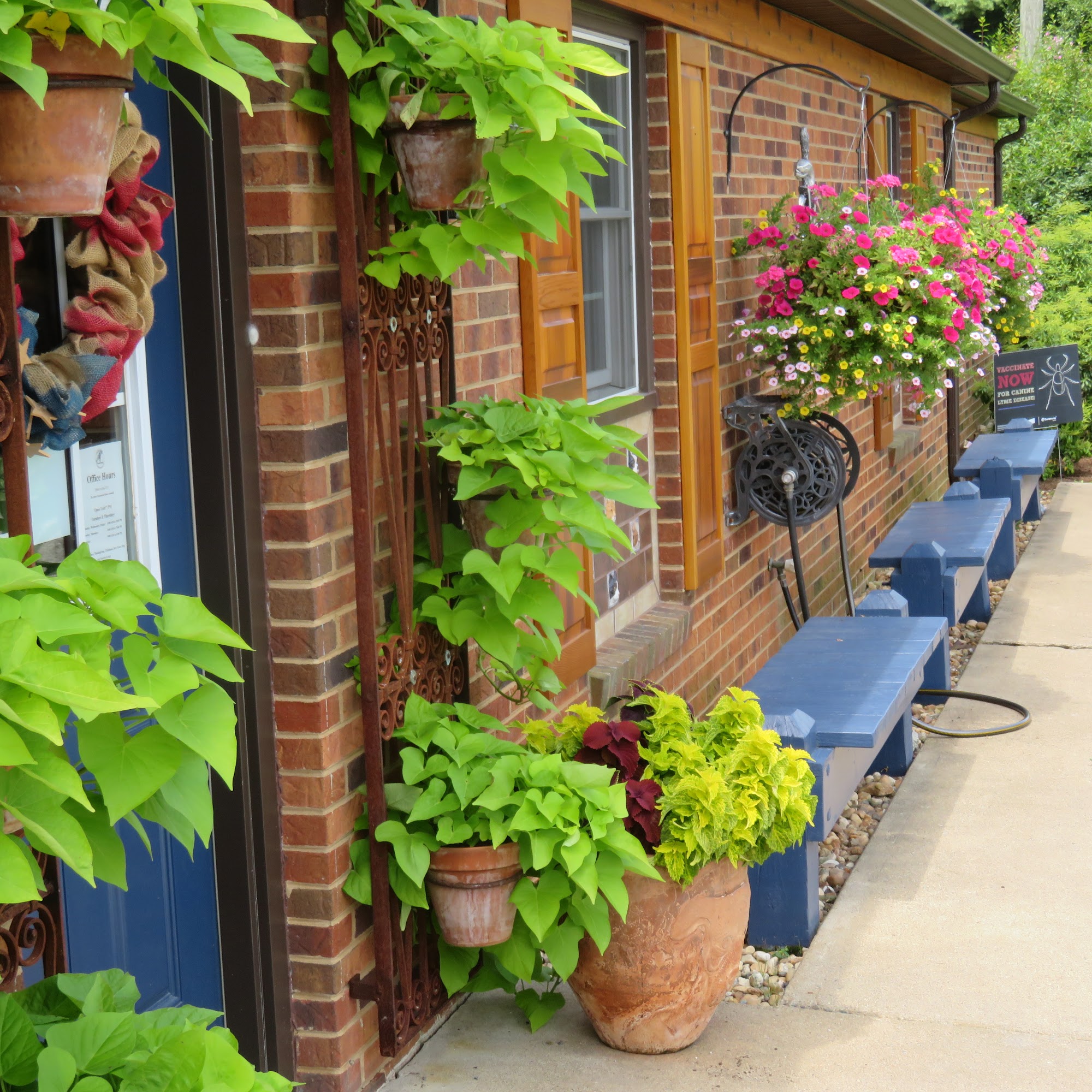 Healing Springs Animal Hospital Galax