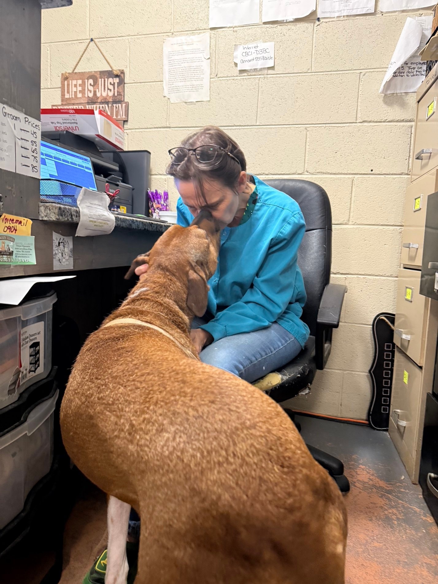 JR Pet Services Waggin' Train, LLC Galax