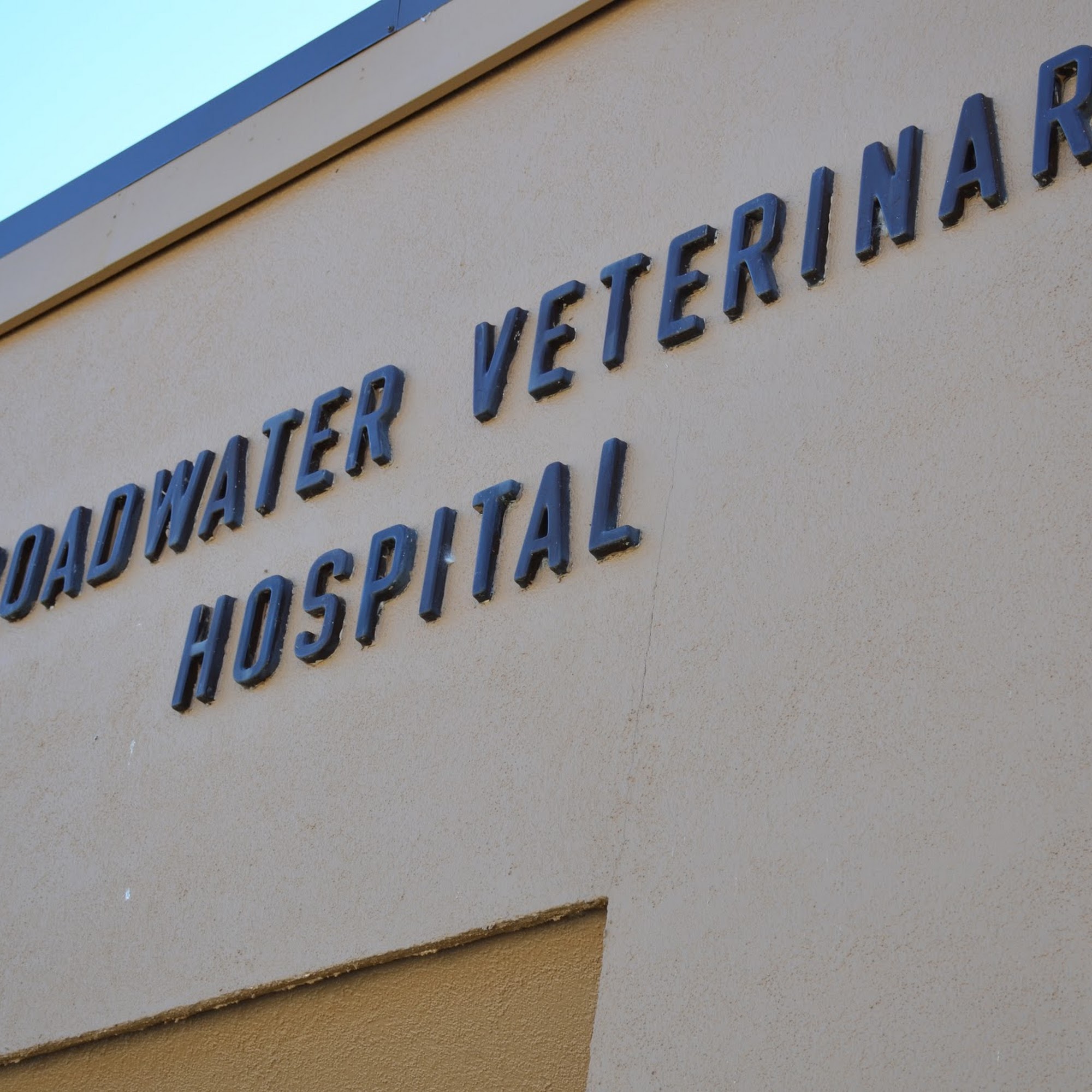 Broadwater Veterinary Hospital Gate City