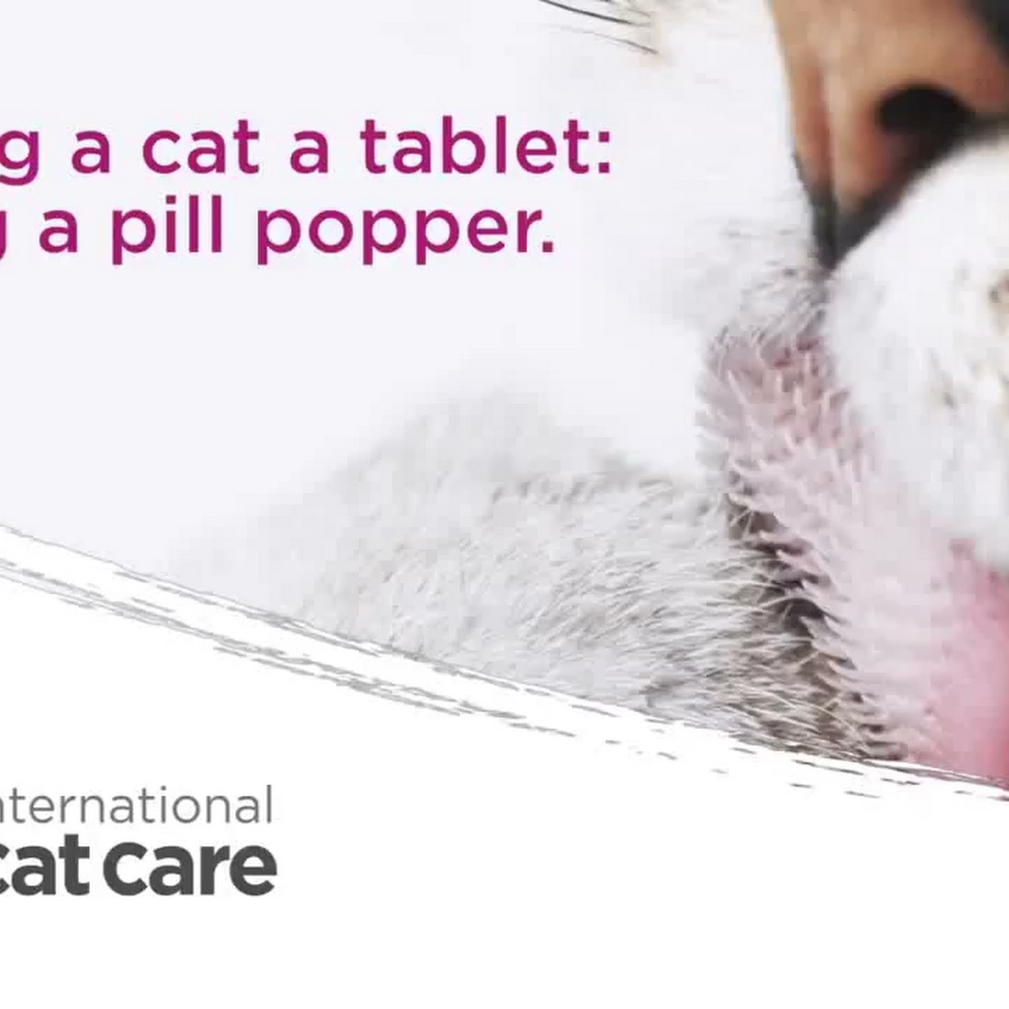 Pouncey Tract Veterinary Hospital Glen Allen