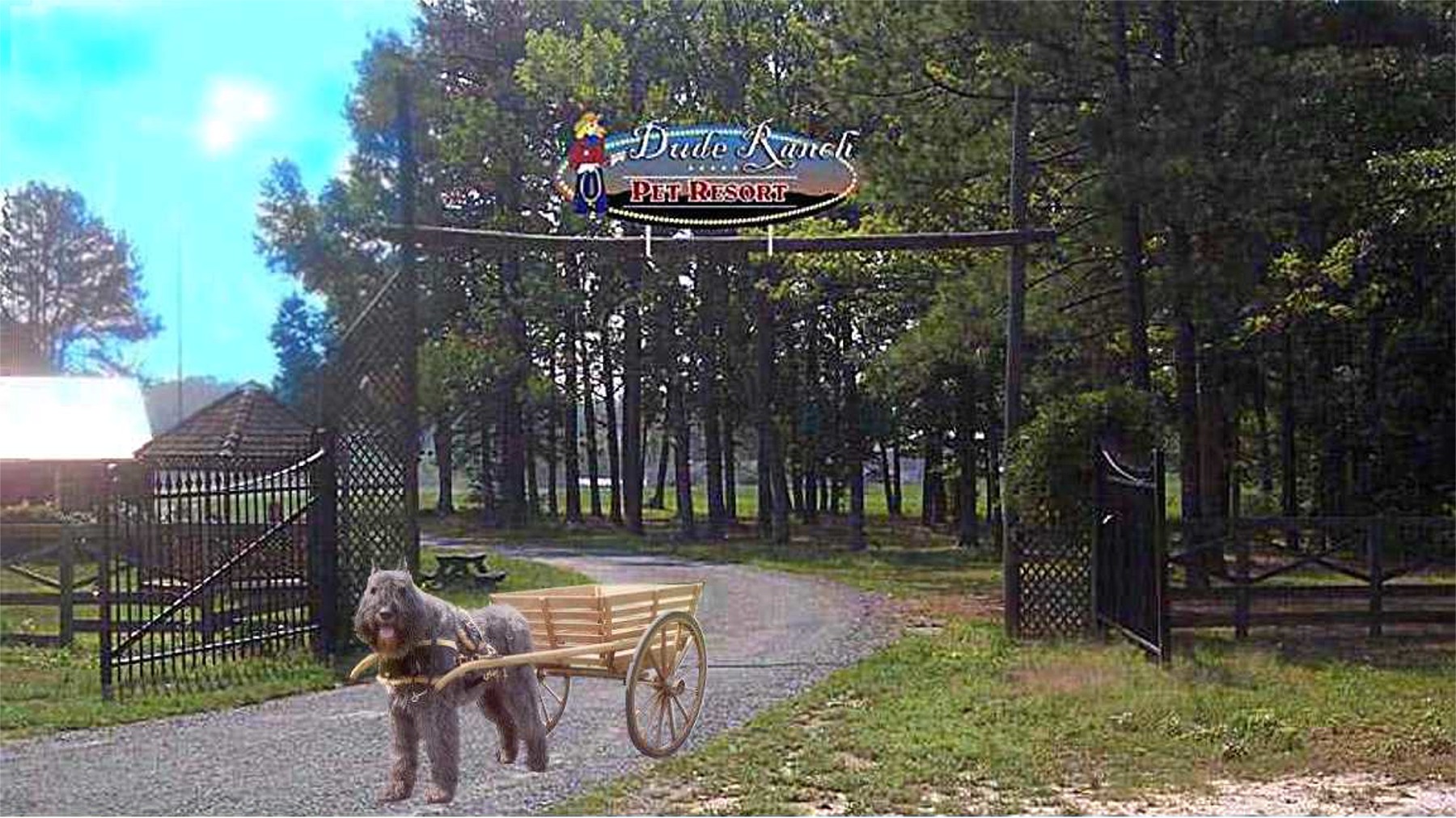 Dude Ranch Pet Resort Glen Allen