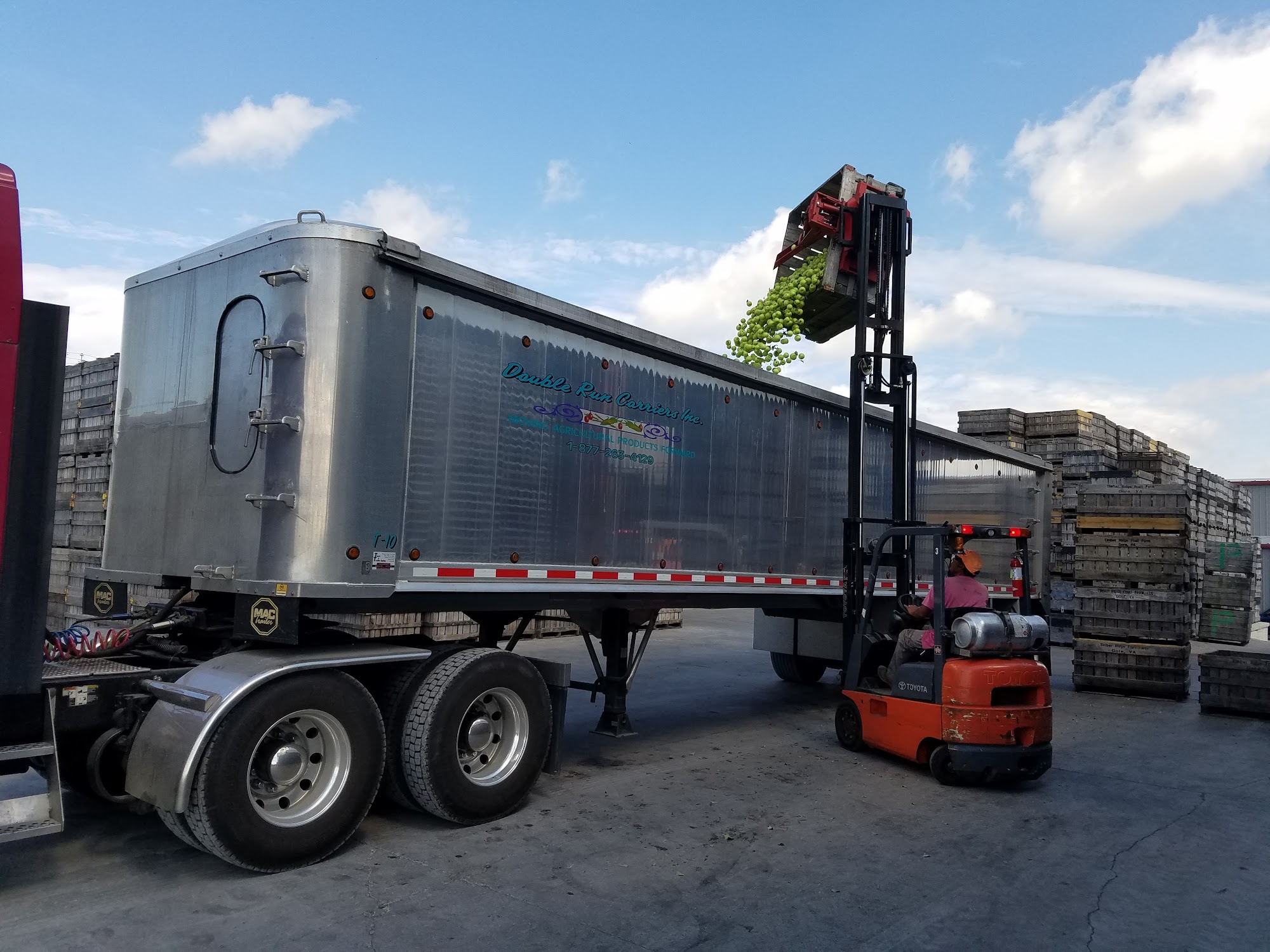 Timber Ridge Fruit Farm