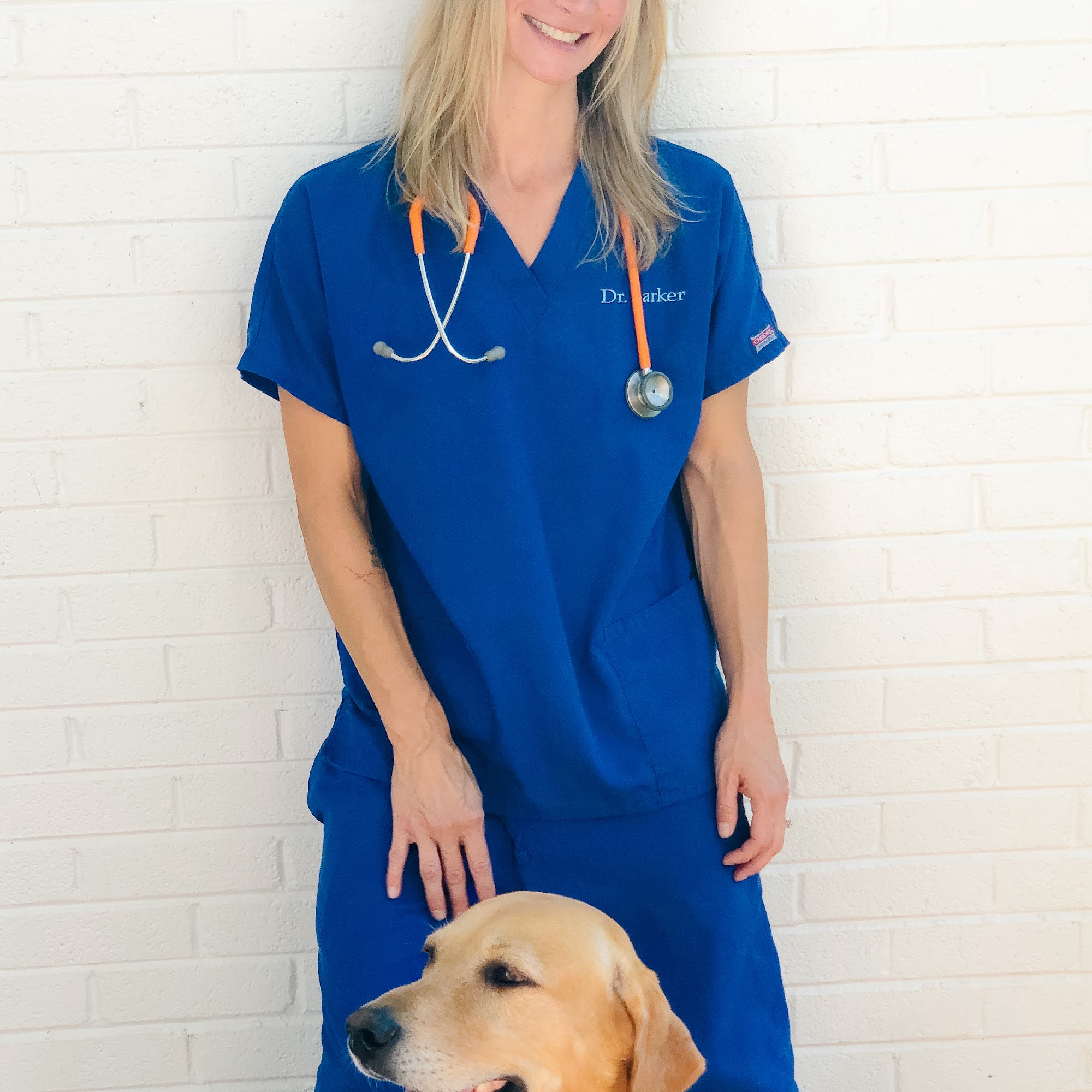 Great Paws Veterinary Hospital Great Falls