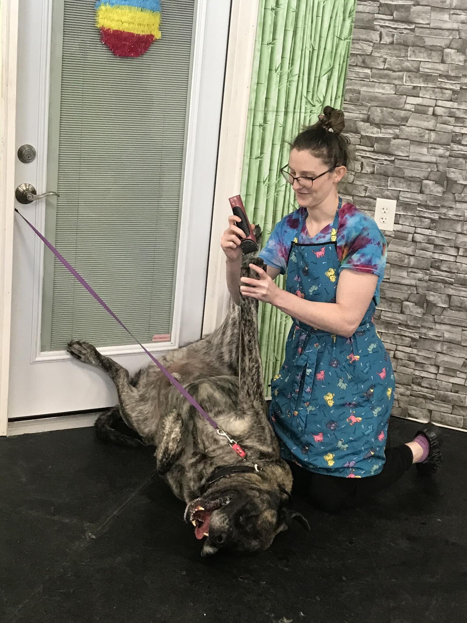 Photo credit: nextdoor