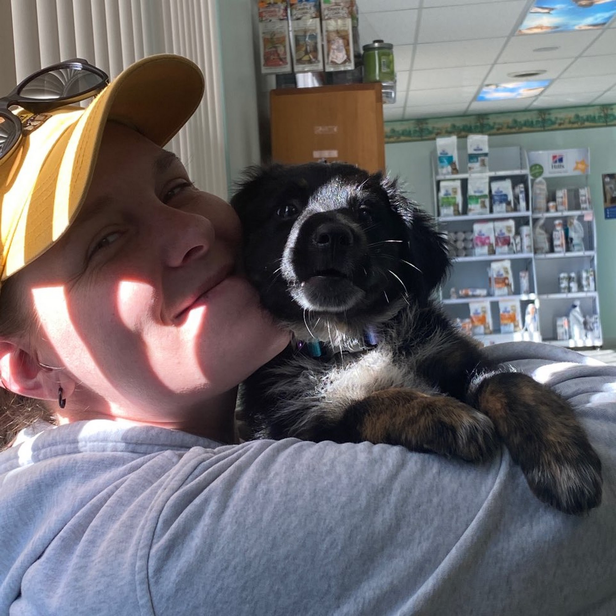 Heartland Veterinary Clinic: Anderson Emily DVM Harrisonburg