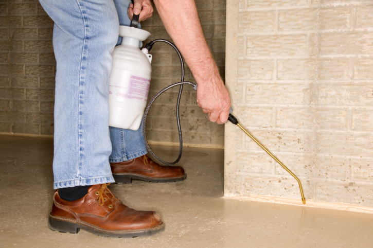 Minnick Termite & Pest Control Inc 916 Greendale Rd, Harrisonburg Virginia 22801