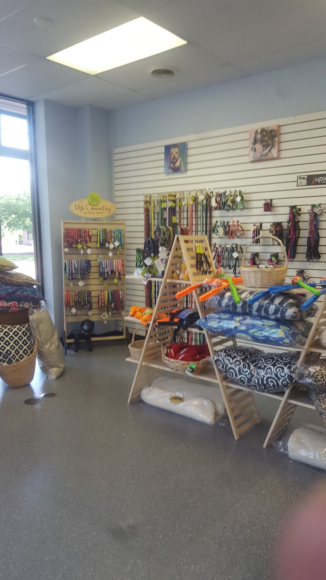 Paws & Claws Grooming, Inc Henrico