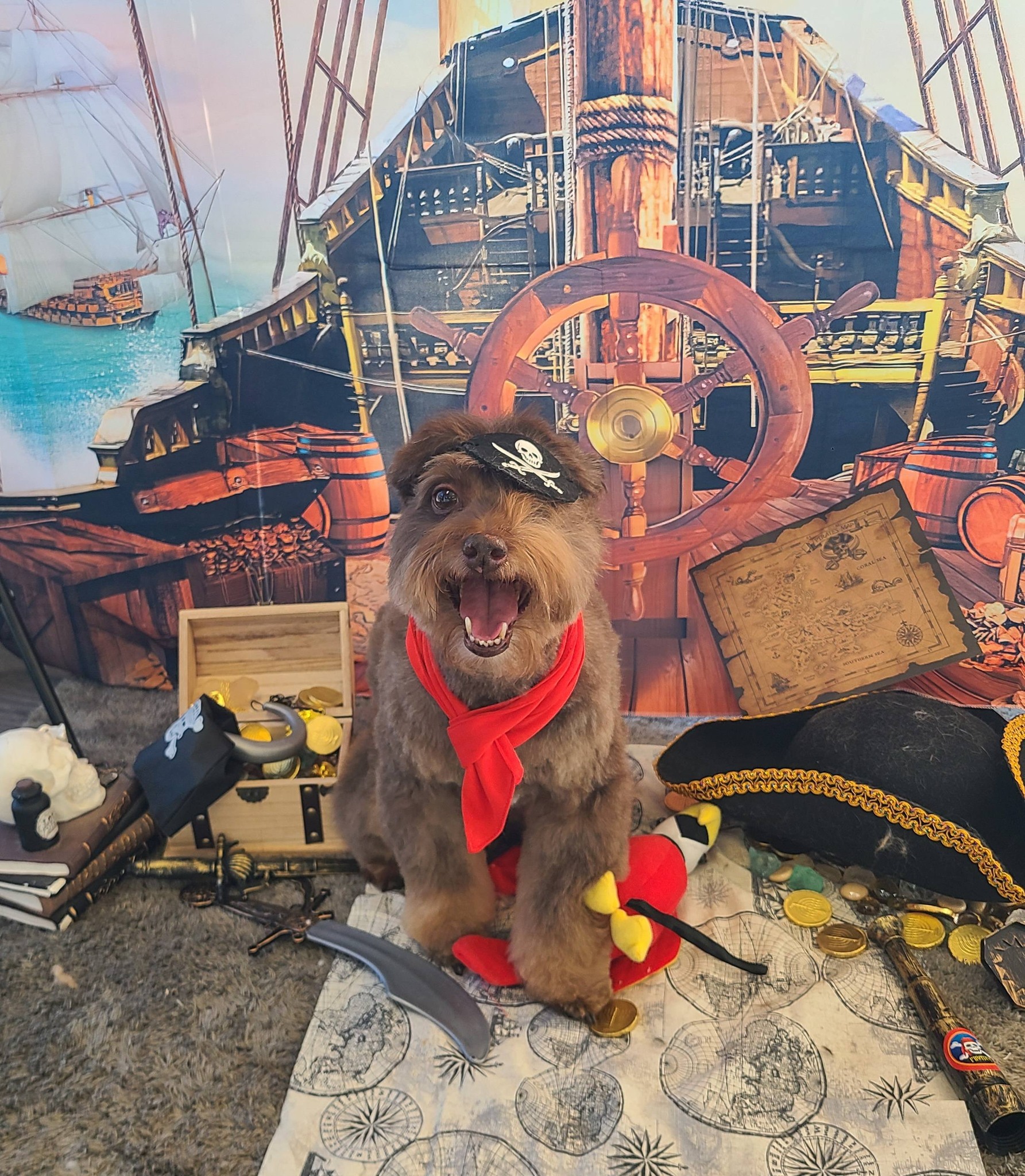 Paws & Claws Grooming, Inc Henrico