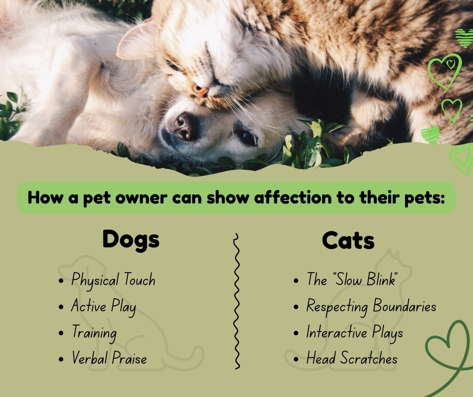 West End Veterinary Clinic Henrico