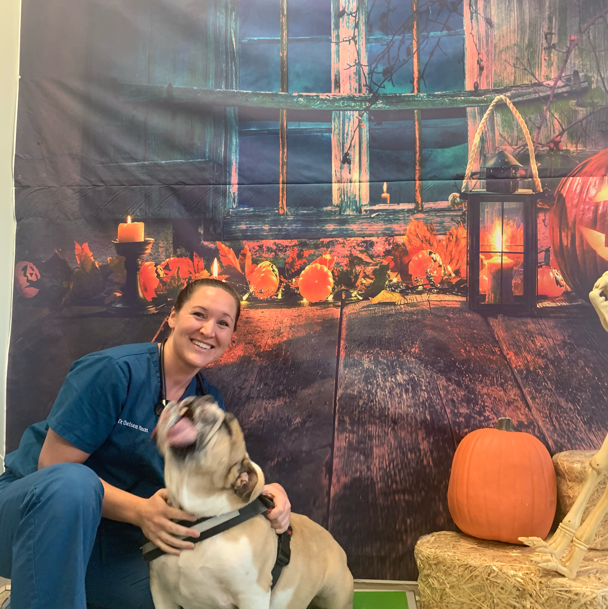 West End Veterinary Clinic Henrico