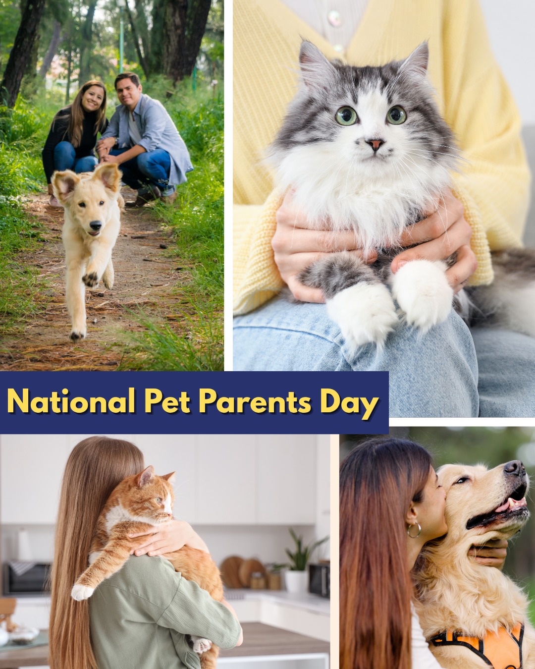 Short Pump Pet Sitters