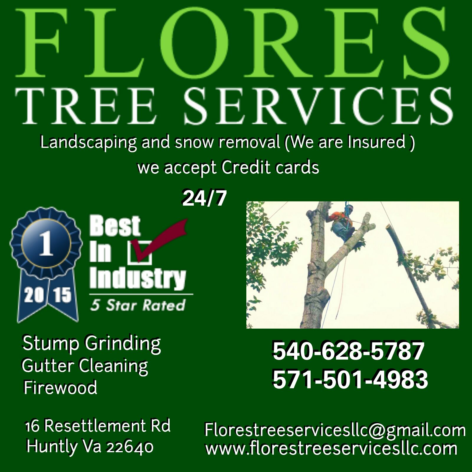 Flores Tree Services 16 Resettlement Rd, Huntly Virginia 22640