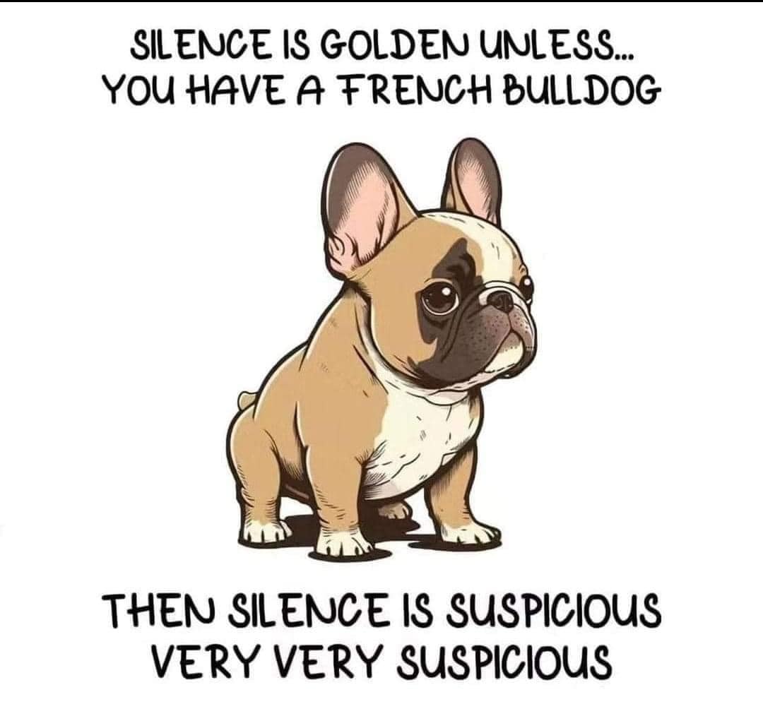 Stephanie's Fancy Shears