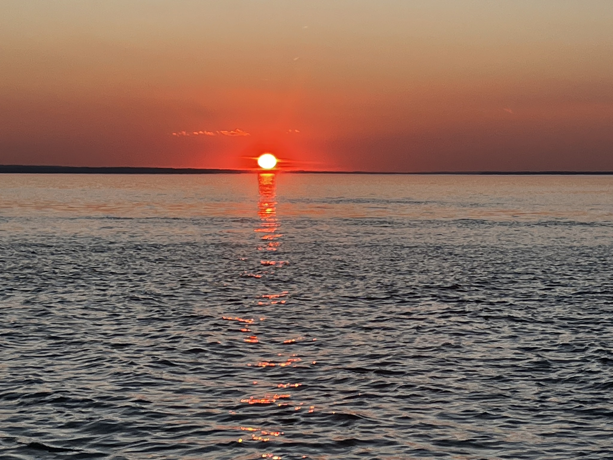 Machodoc Creek Cafe King George