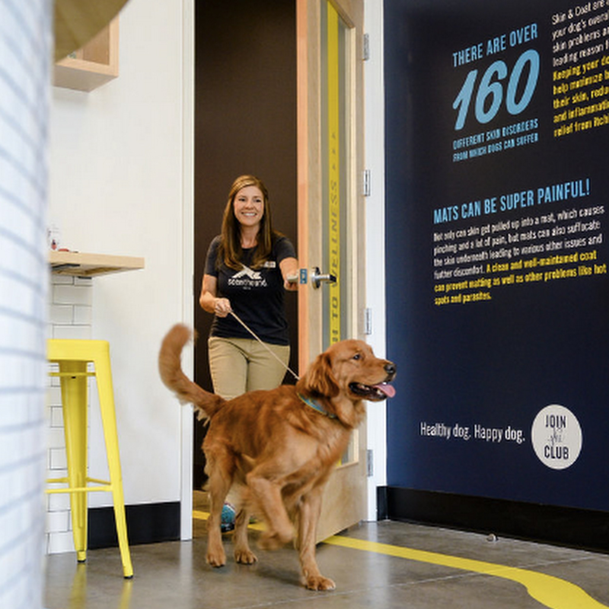 Scenthound Lansdowne Leesburg