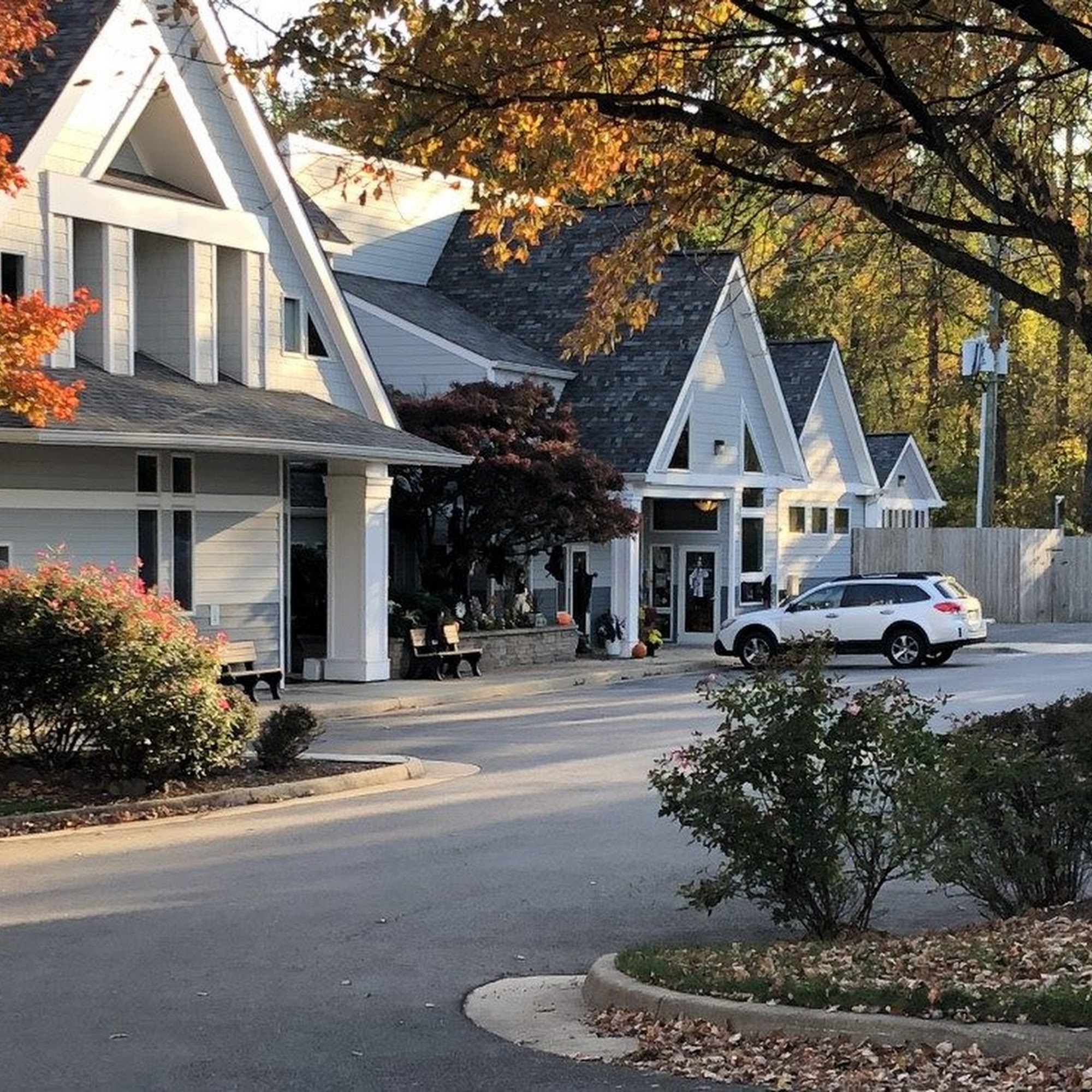 Old Mill Boarding Kennel & Grooming Leesburg