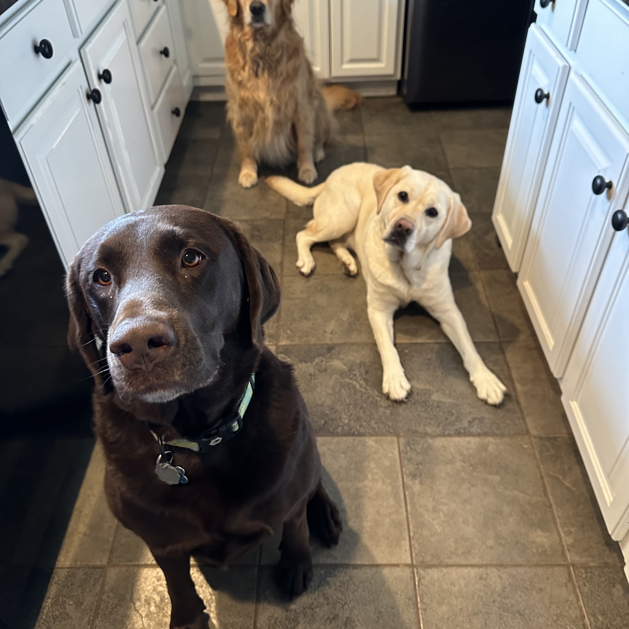 A Windy Day Farm Leesburg