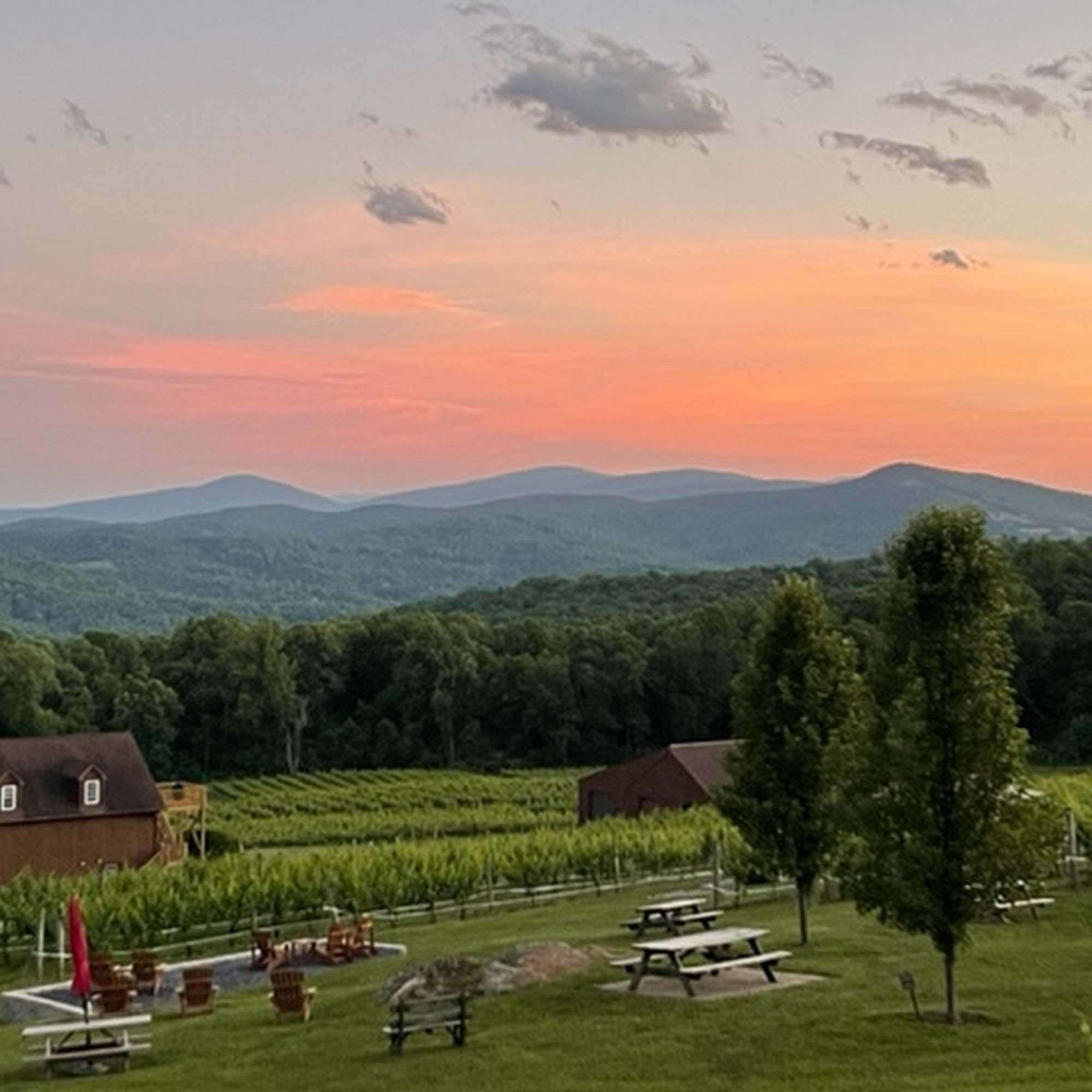 Fox Meadow Vineyards & Winery Linden