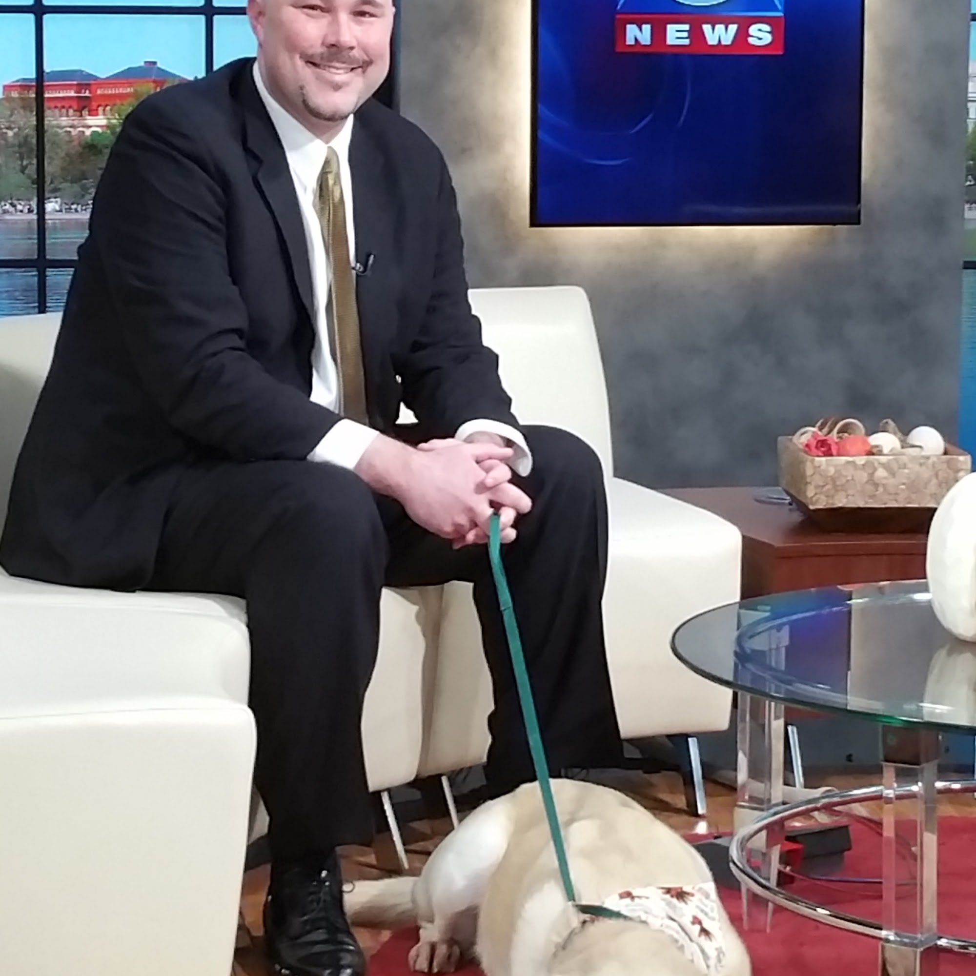 NoVa Mobile Vet Lorton