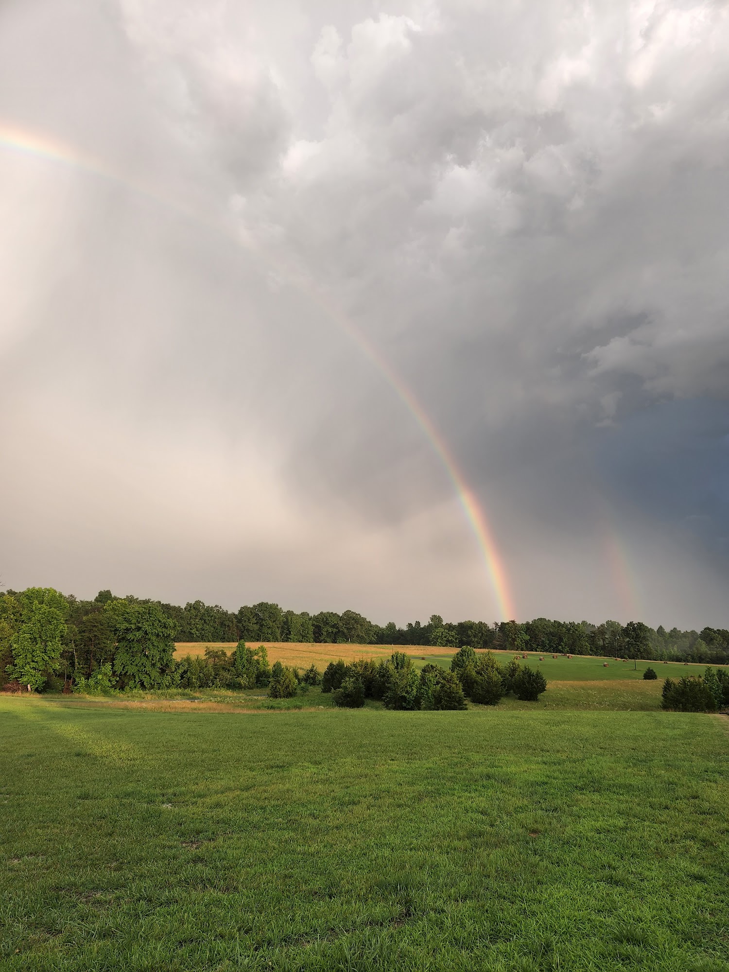 Southern Revere Cellars Louisa