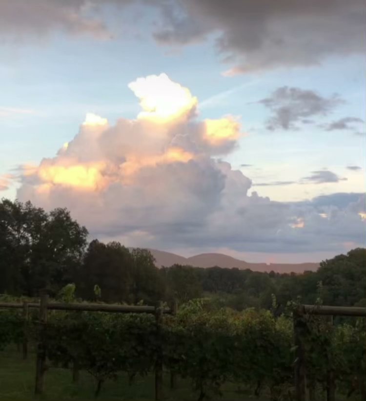 Lovingston Winery Menu