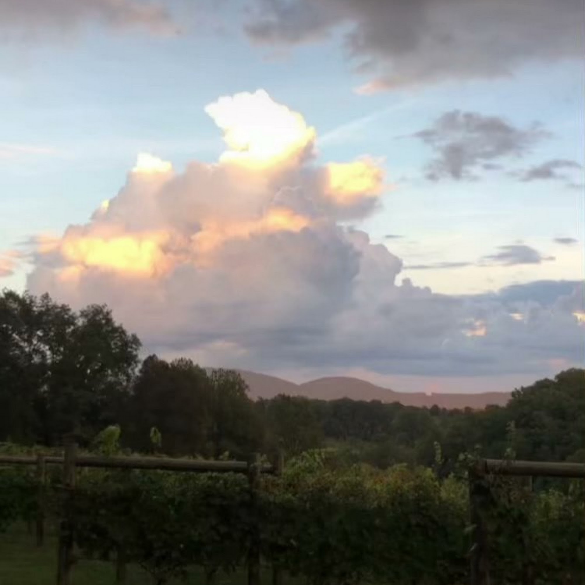 Lovingston Winery Lovingston