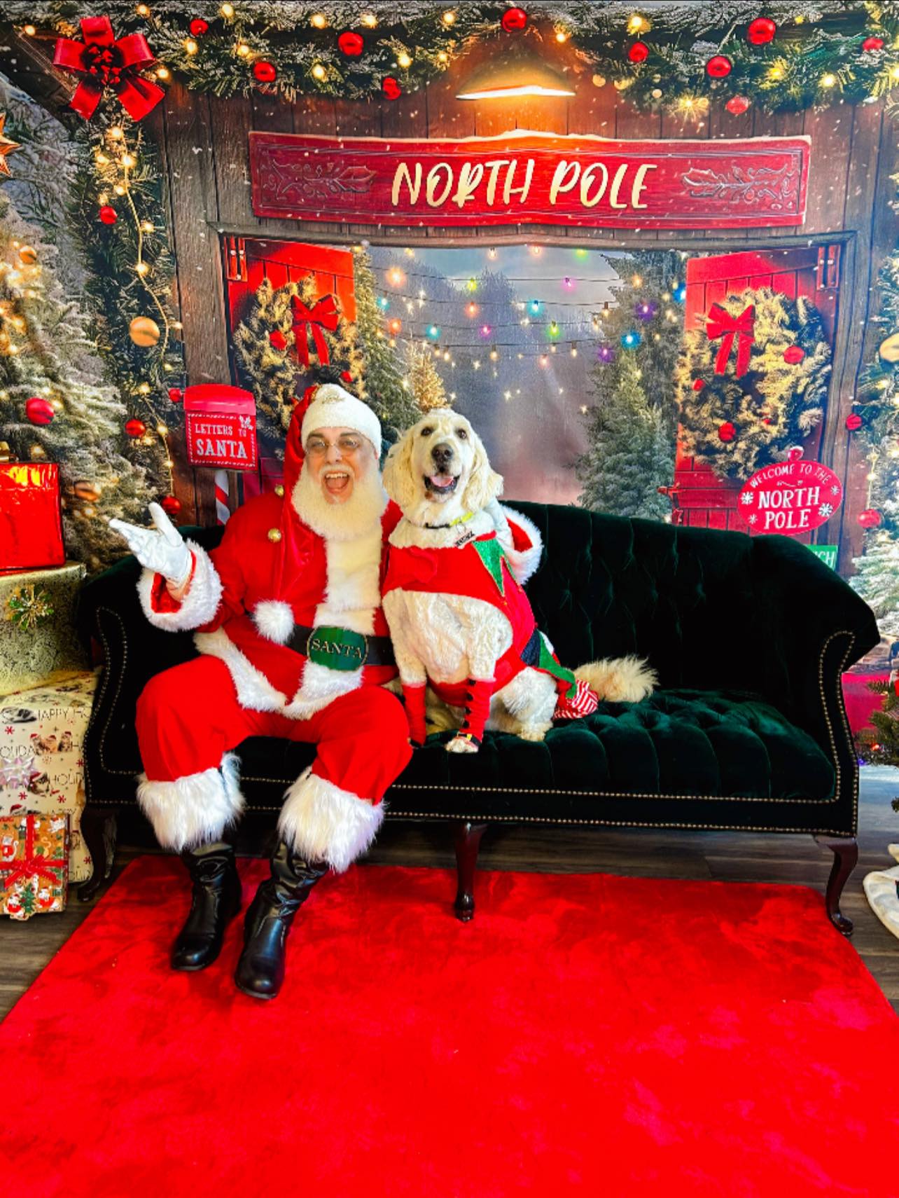 Oak Hill Veterinary Care & Pet Resort Madison Heights