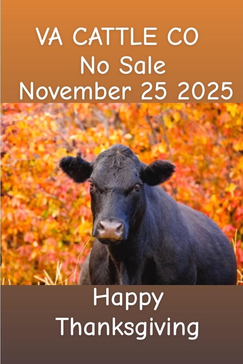 Virginia Herd Health Management Services, PC