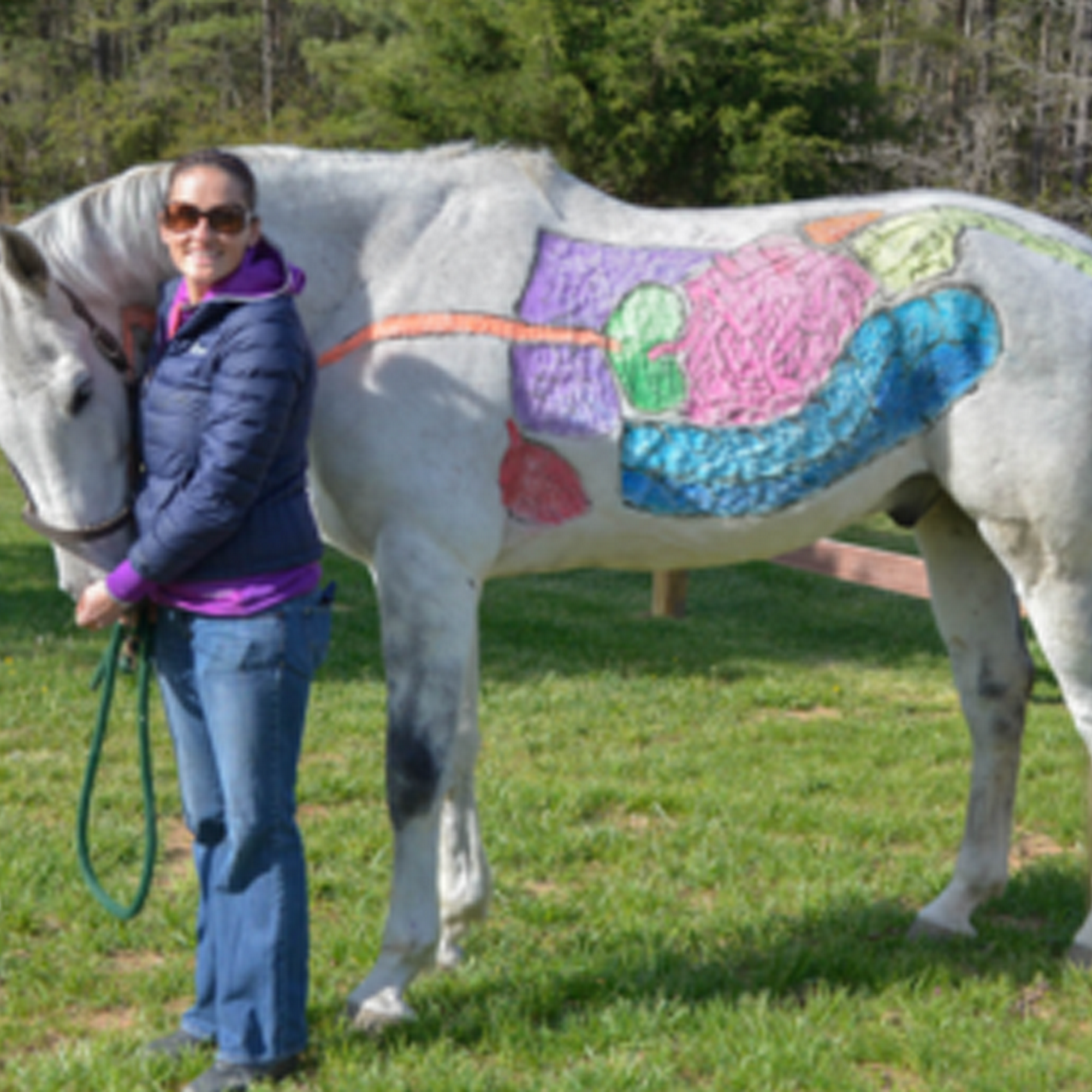 Virginia Equine PLLC Manakin Sabot