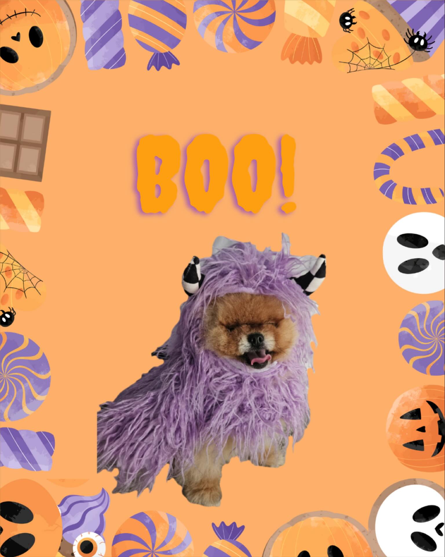 Pawsitive Care Animal Hospital Manassas