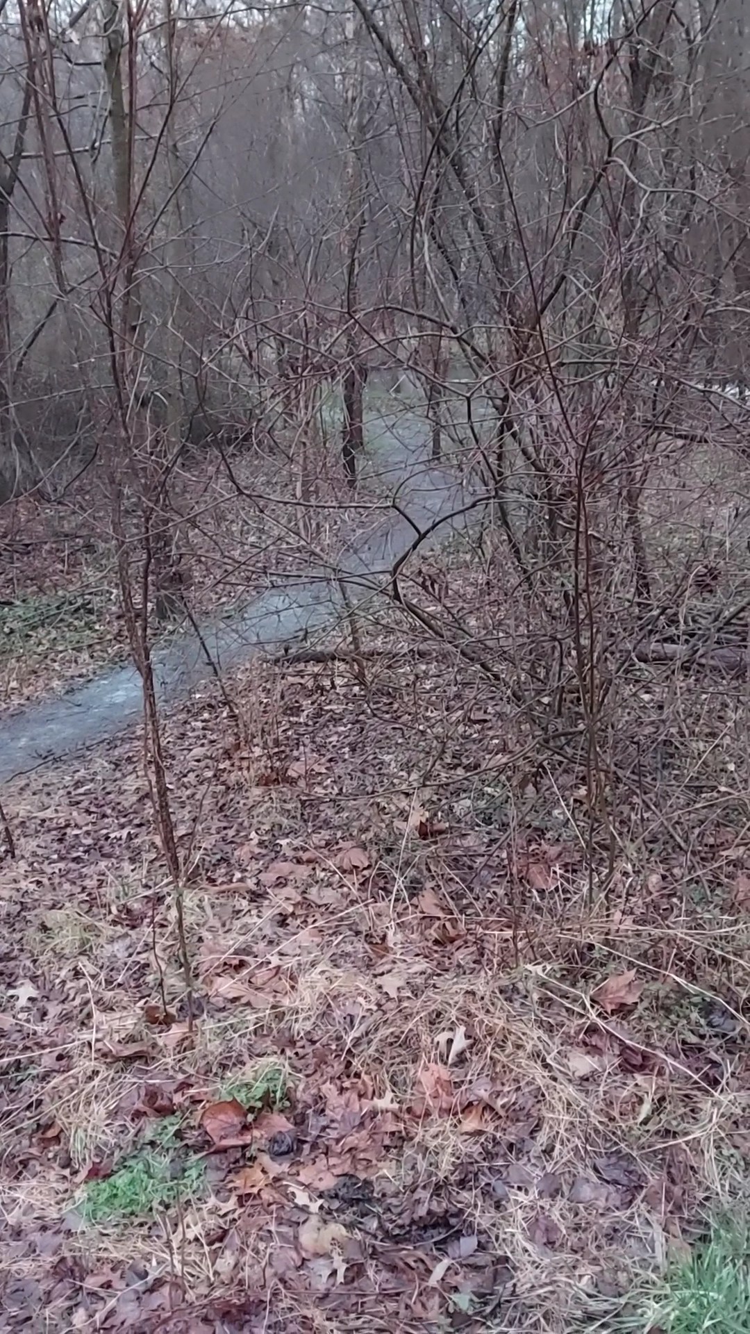 Green Castle Massage Therapy | Asian Massage, Foot Massage in Manassas, VA 10640 Crestwood Dr, Manassas Virginia 20109