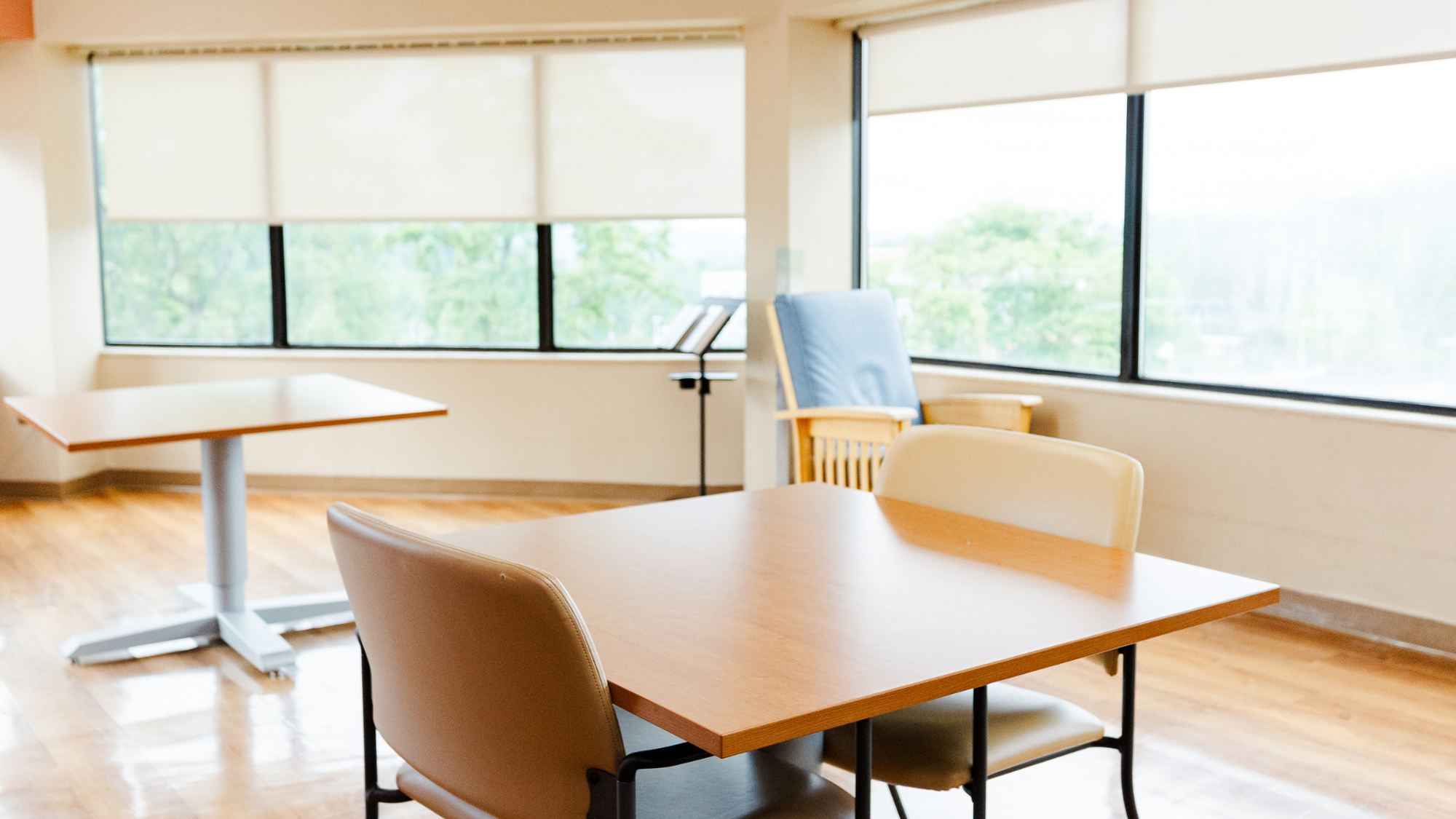 Francis Marion Manor