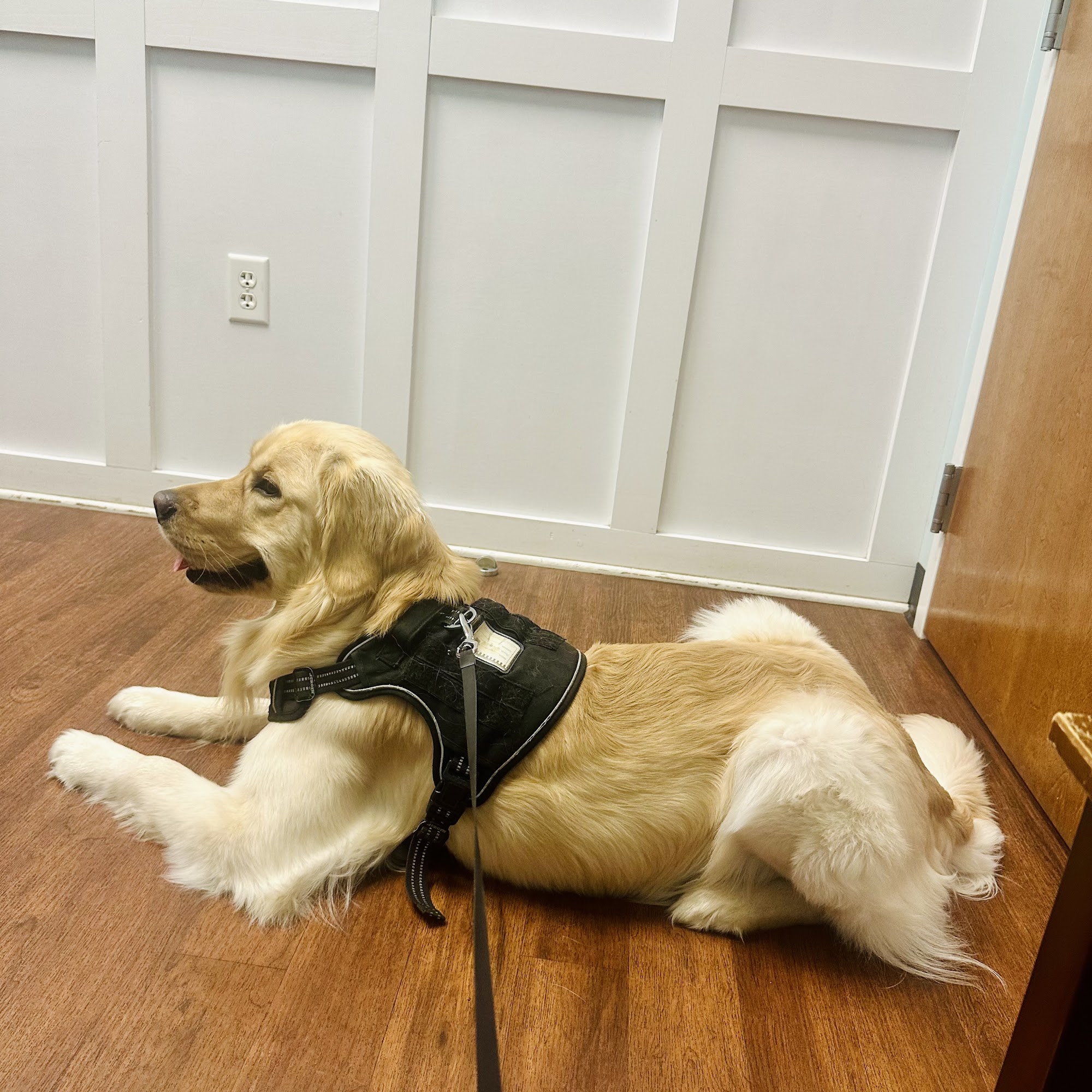 Rutland Animal Hospital Mechanicsville