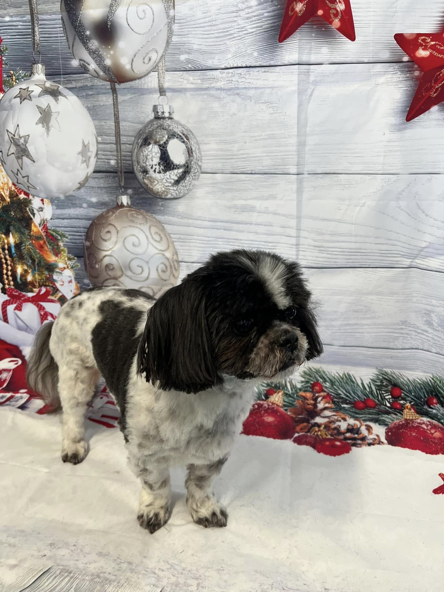 Critter Bath House Mechanicsville