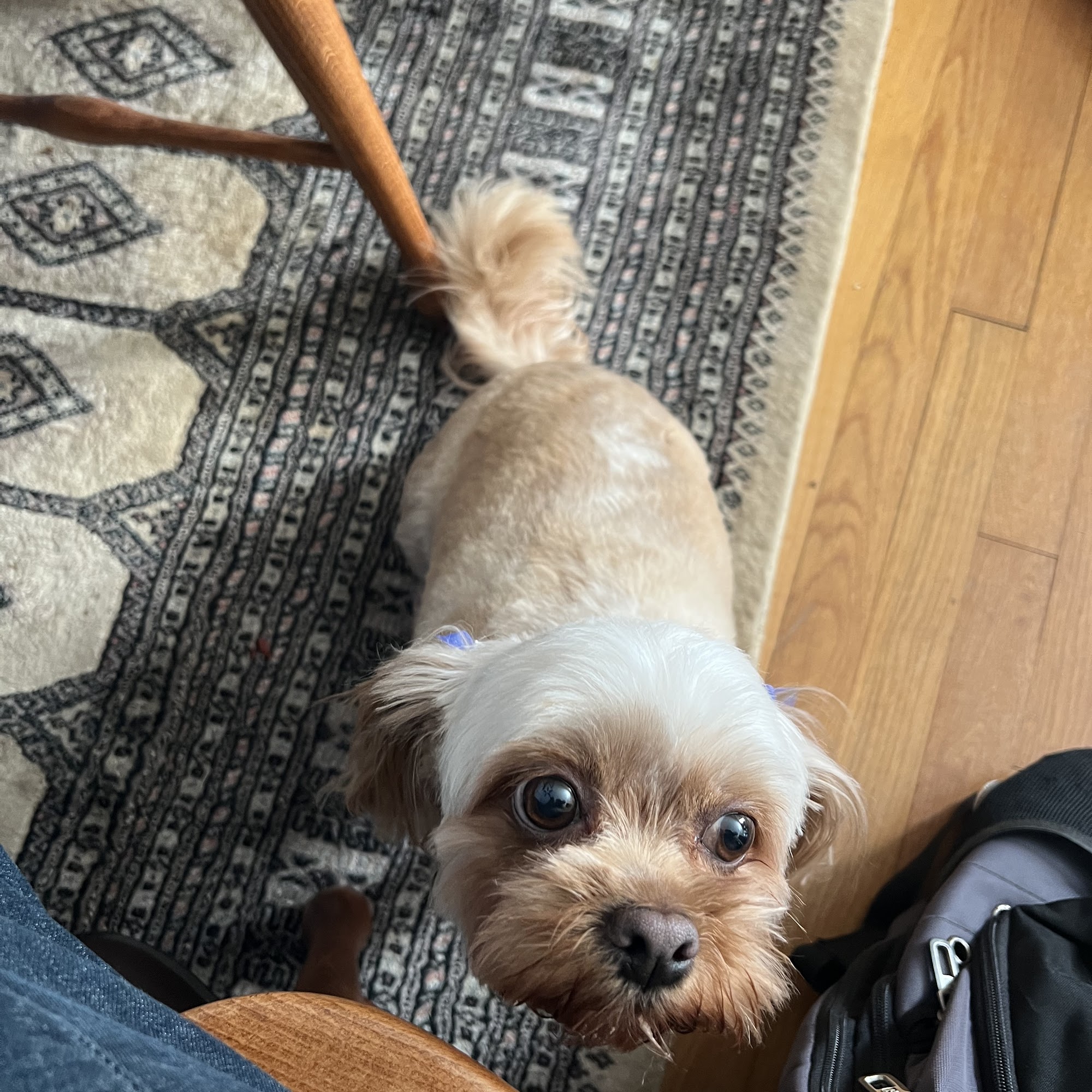 Critter Bath House Mechanicsville