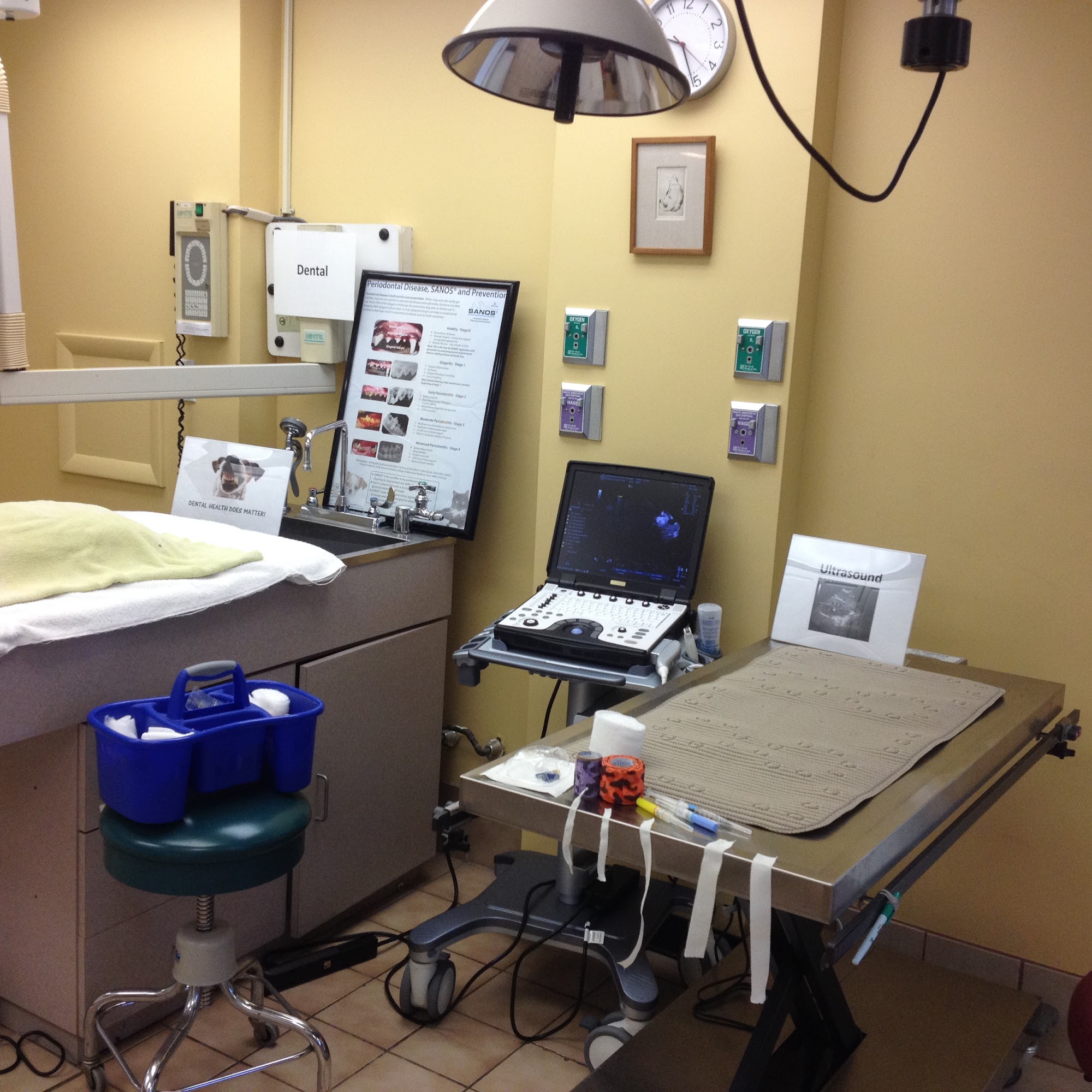 Middleburg Animal Hospital Middleburg