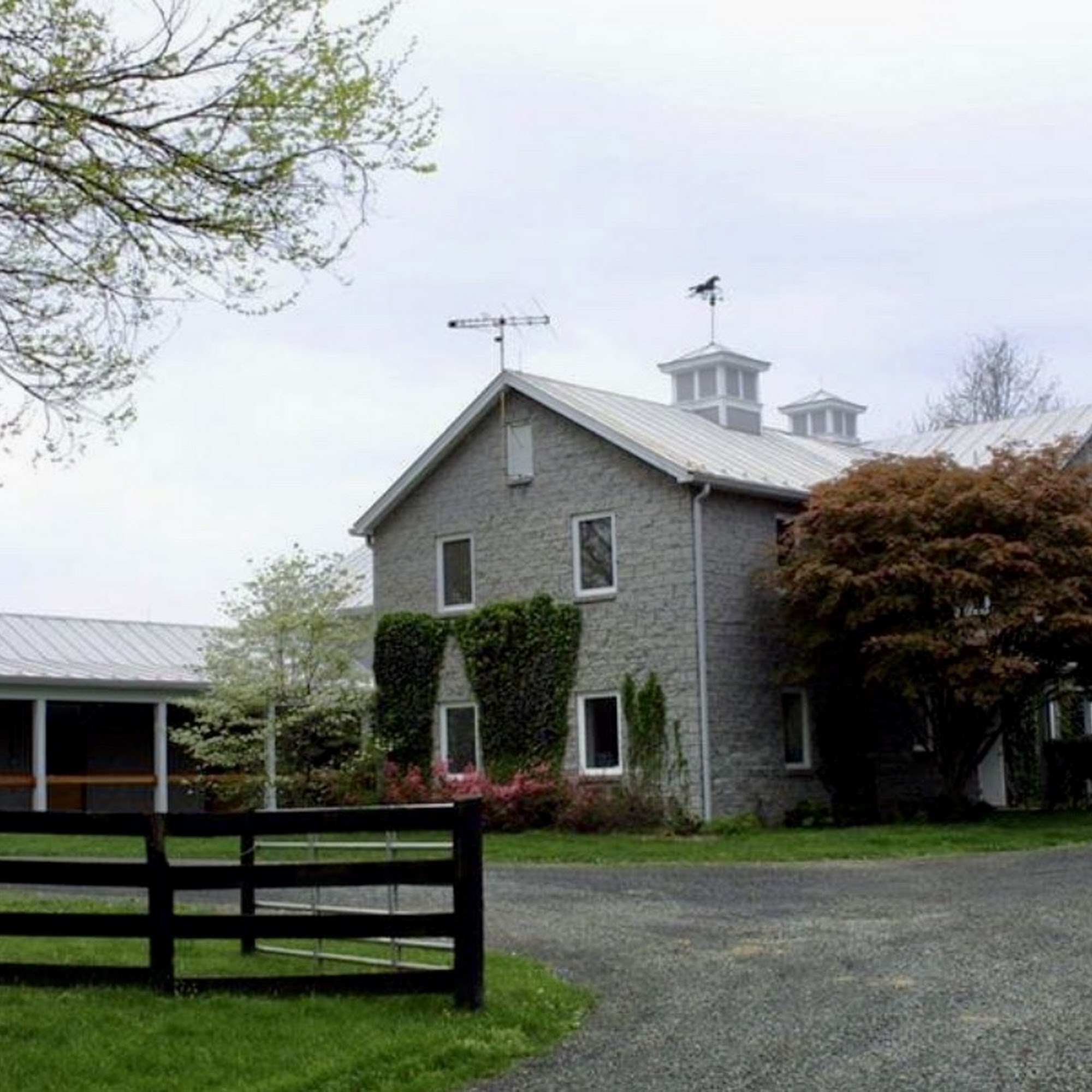 Middleburg Equine Clinic Inc Middleburg