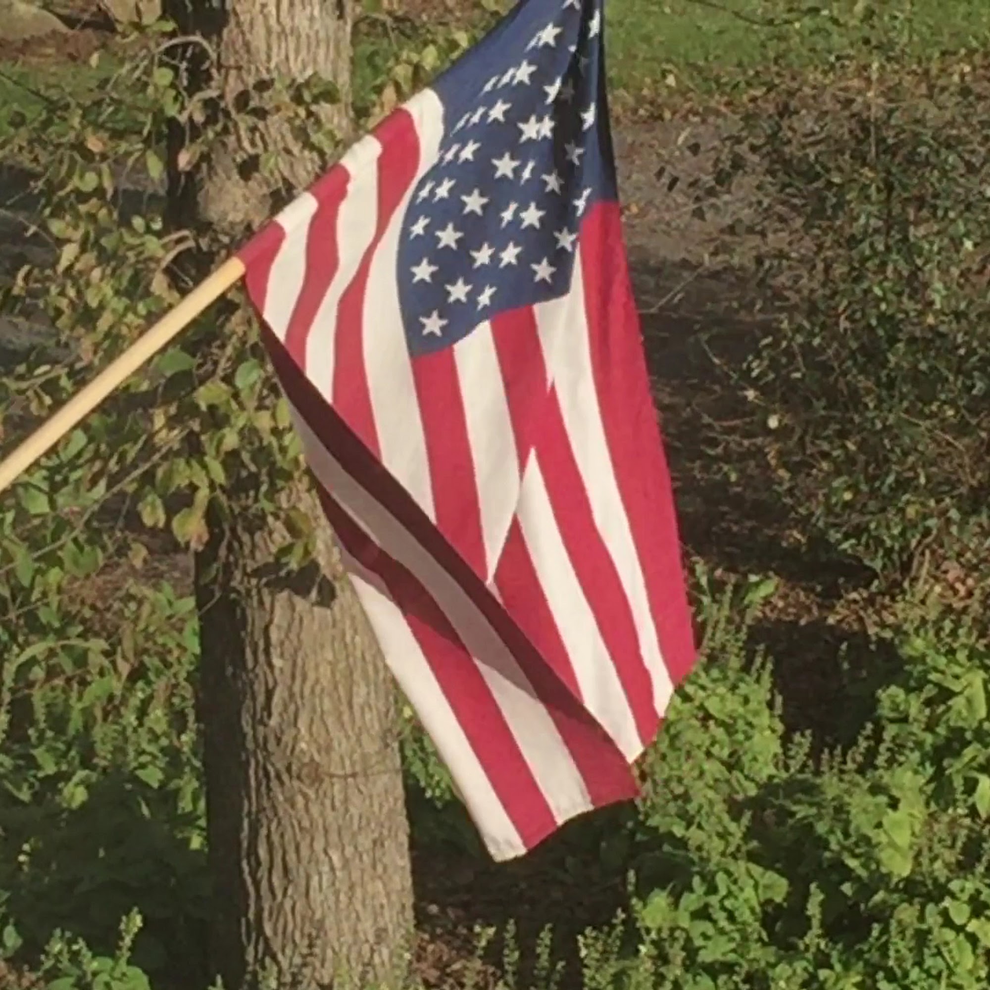 Cana Vineyards and Winery of Middleburg Middleburg