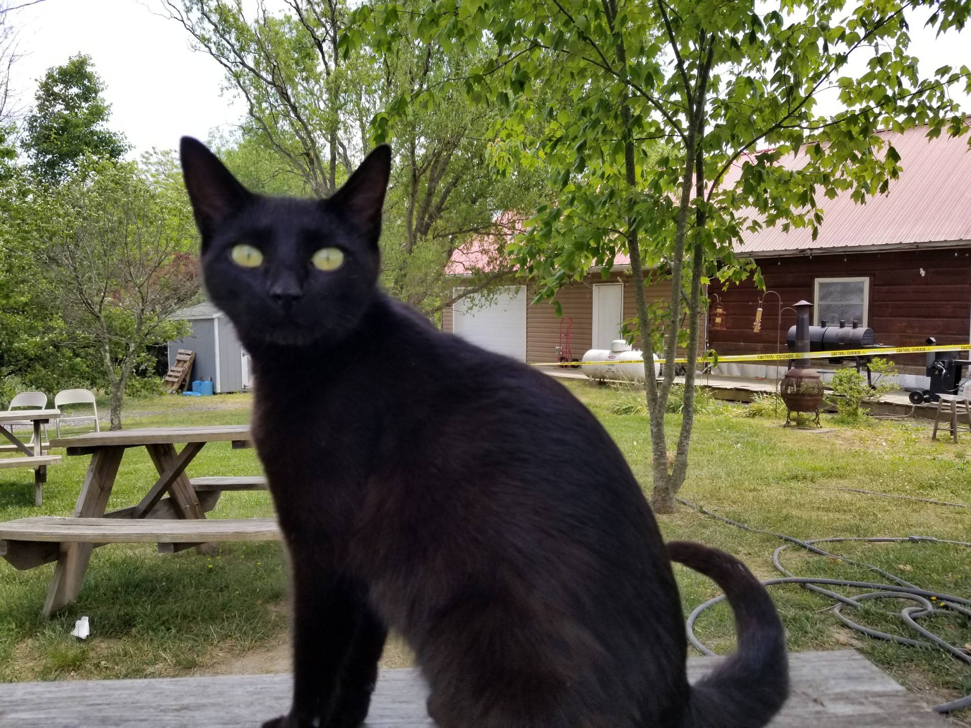 Backroom Brewery Middletown