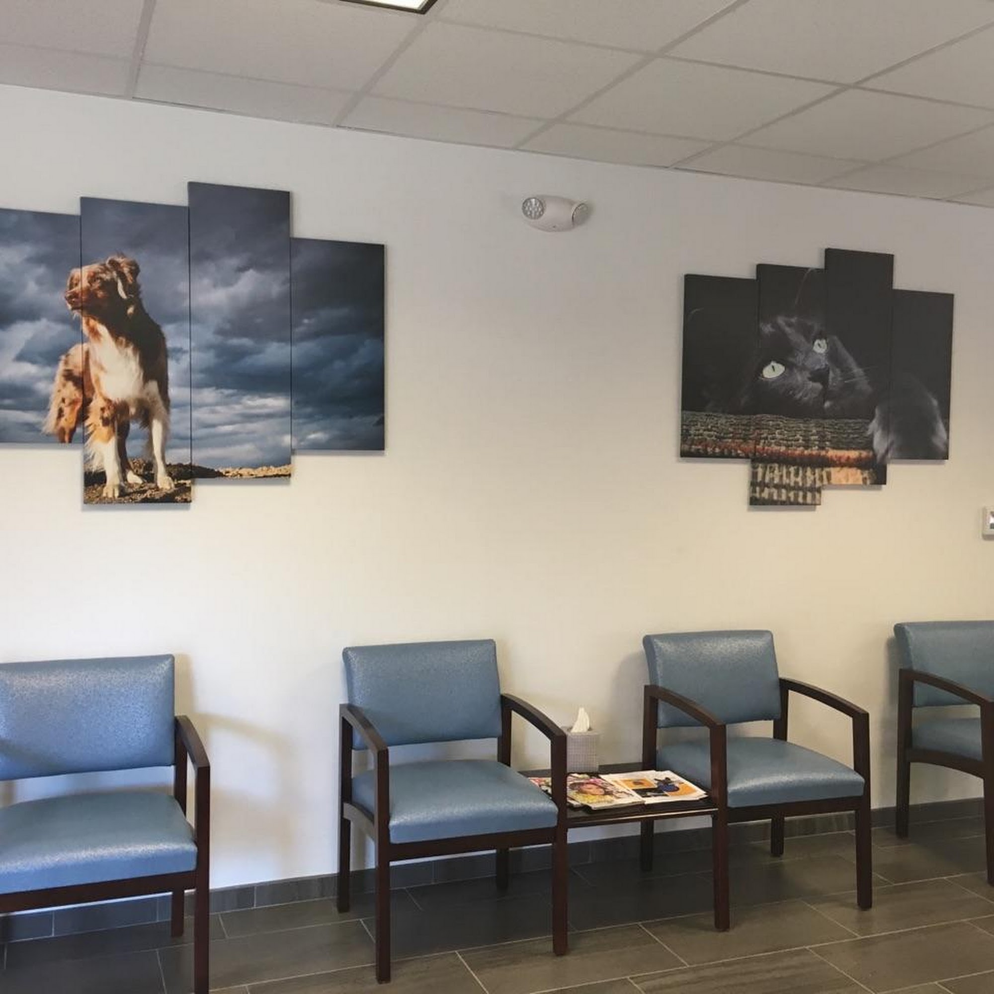 Commonwealth Animal Hospital Midlothian