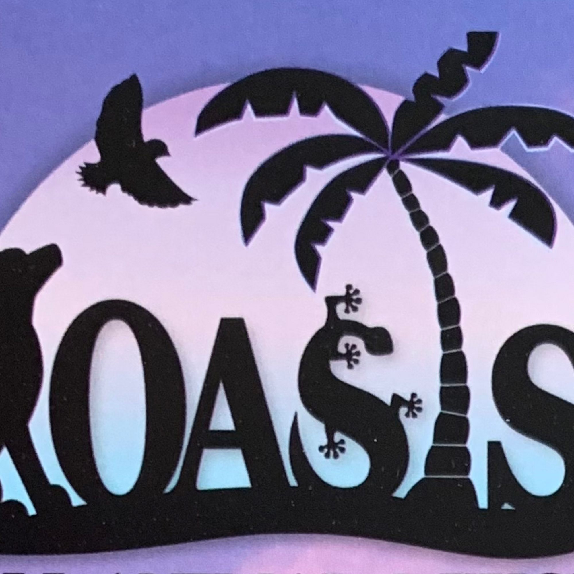 Dr. April Rice Midlothian