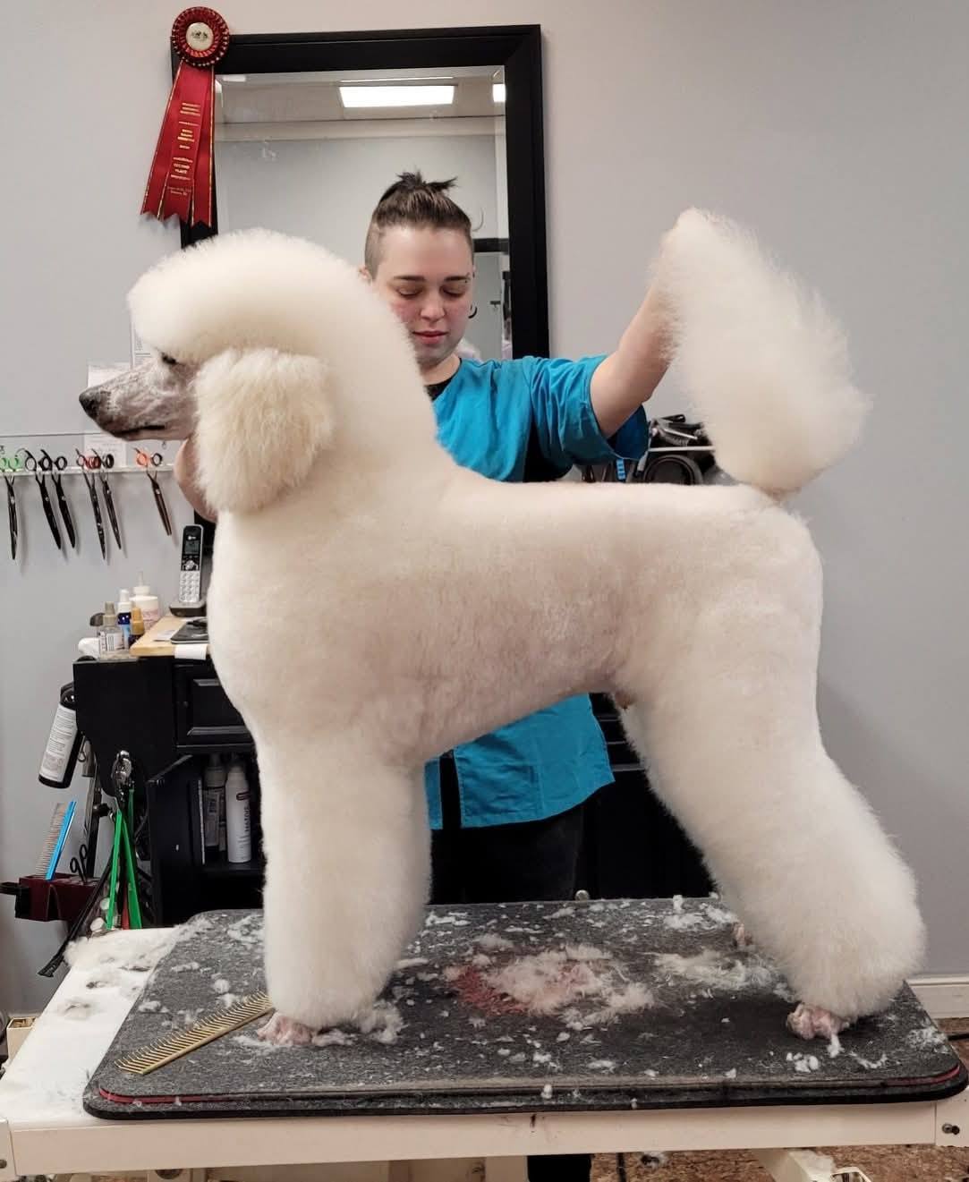 Blue Ribbon Pet Styling Midlothian