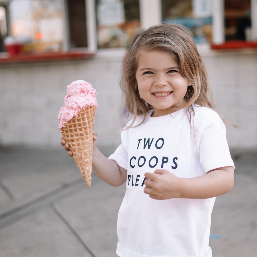 Bruster's Real Ice Cream Midlothian