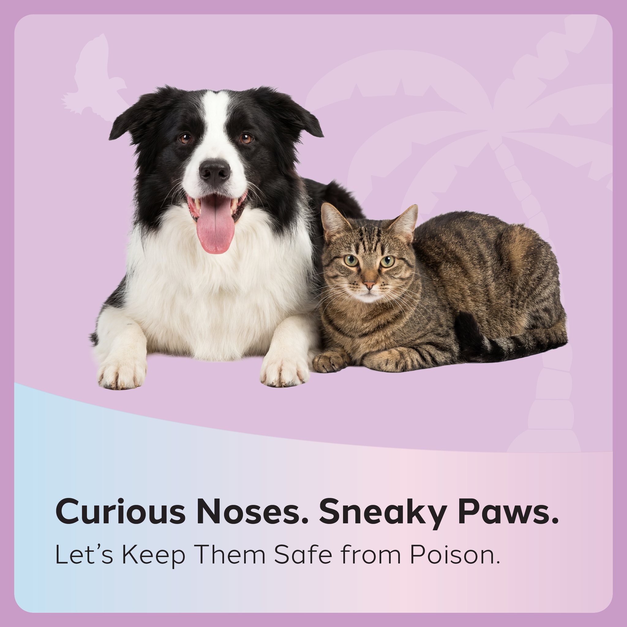 Oasis Small Animal and Exotics Veterinary Hospital Midlothian