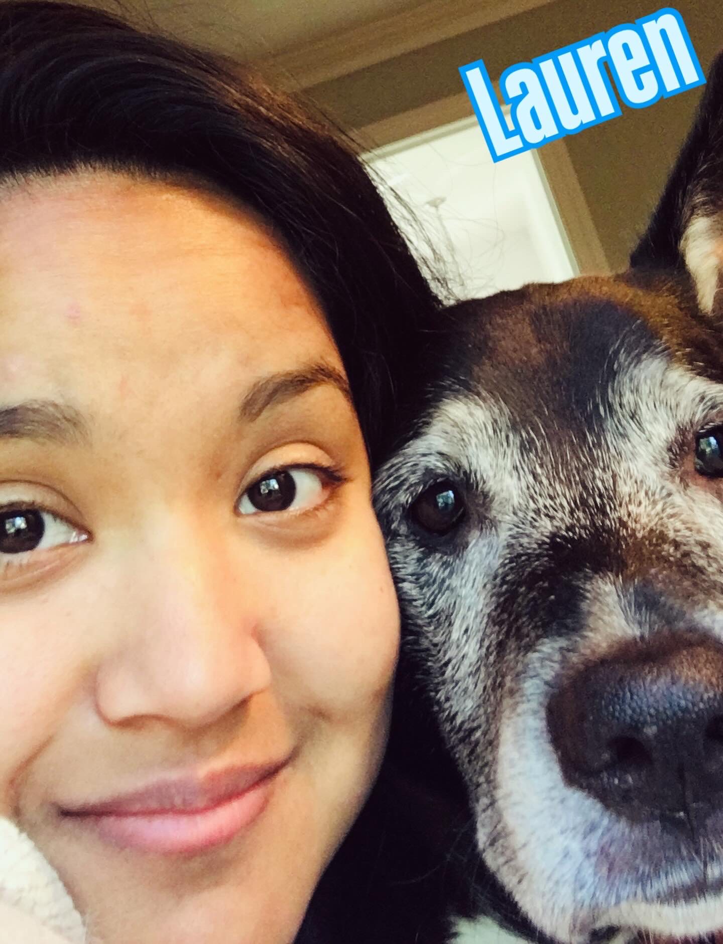 Animal Eye Care of Richmond Midlothian