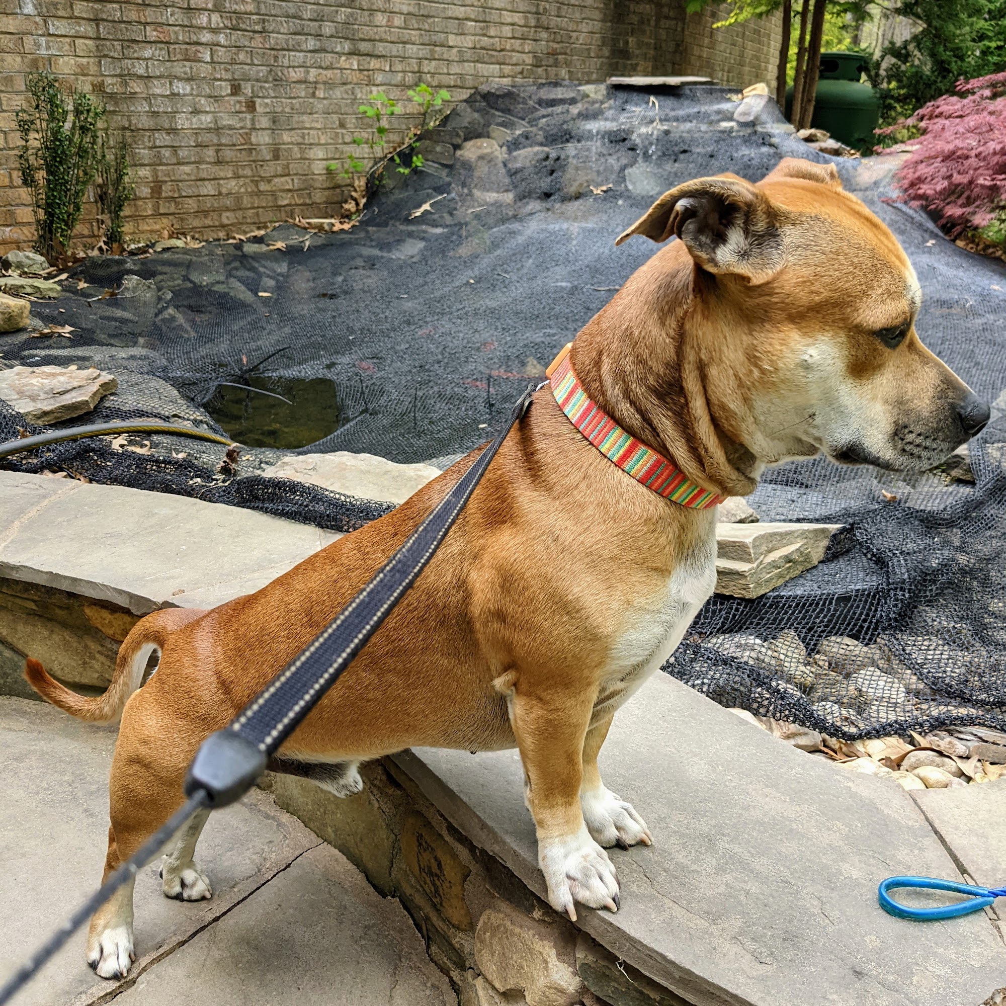 Westlake Veterinary Medical Center Moneta