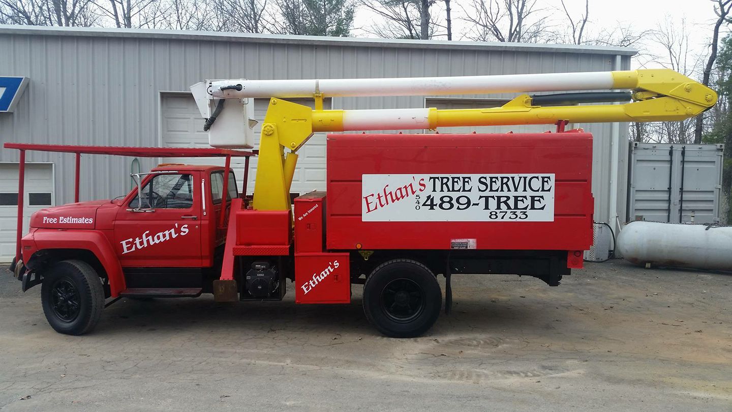 Ethan's Tree Service