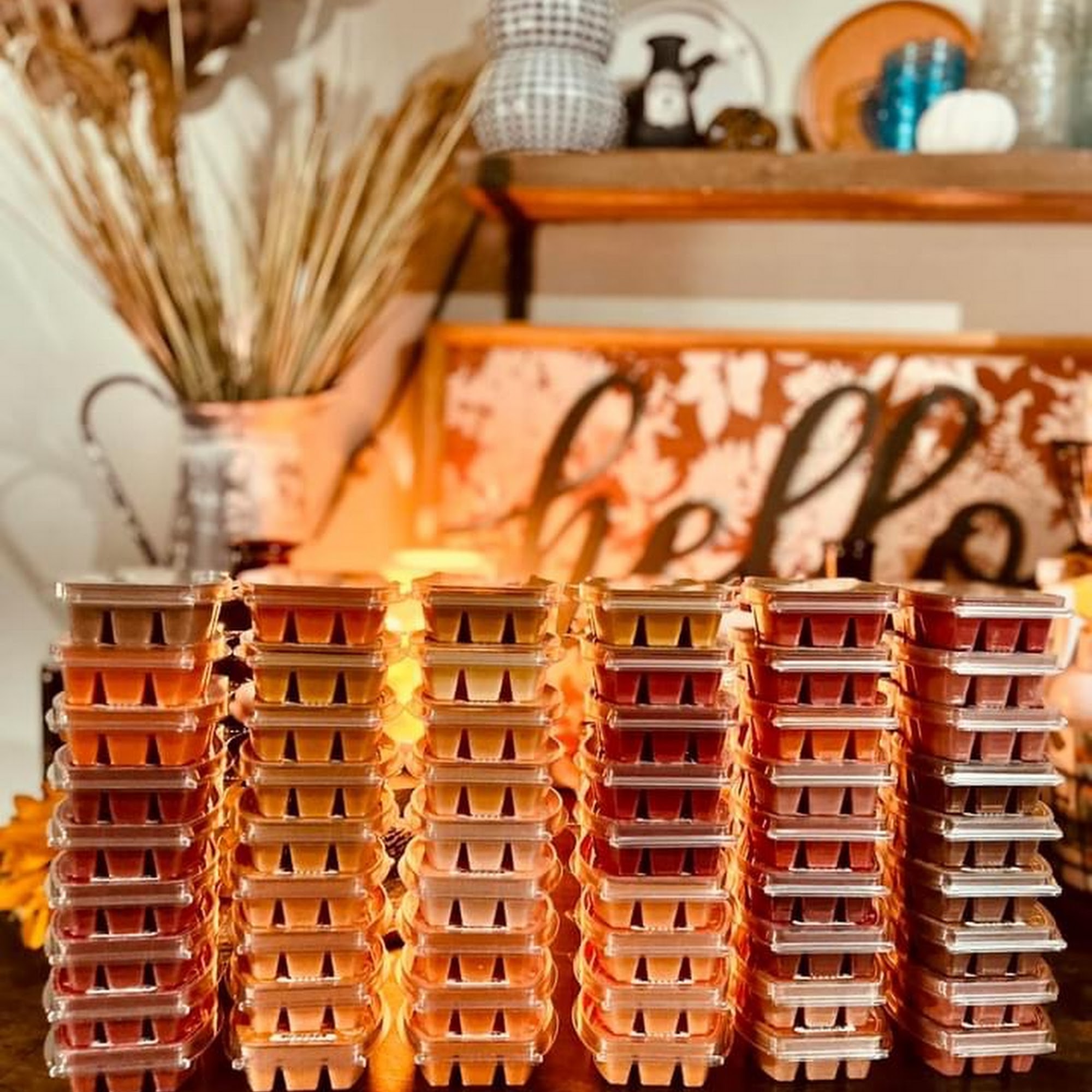 Scentsy with Carrie Williams Moneta